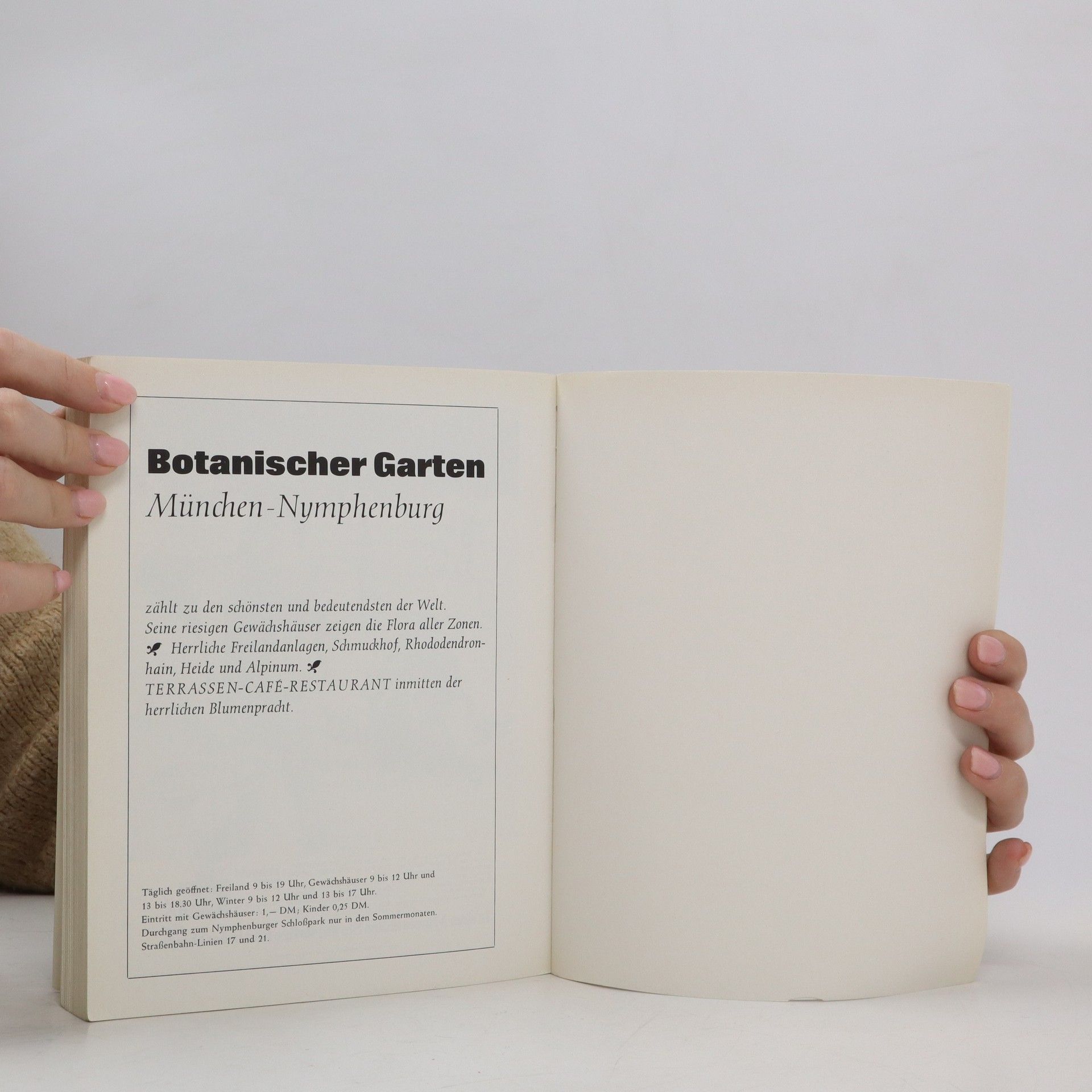 kolektiv Der Surealismus : 1922-1942