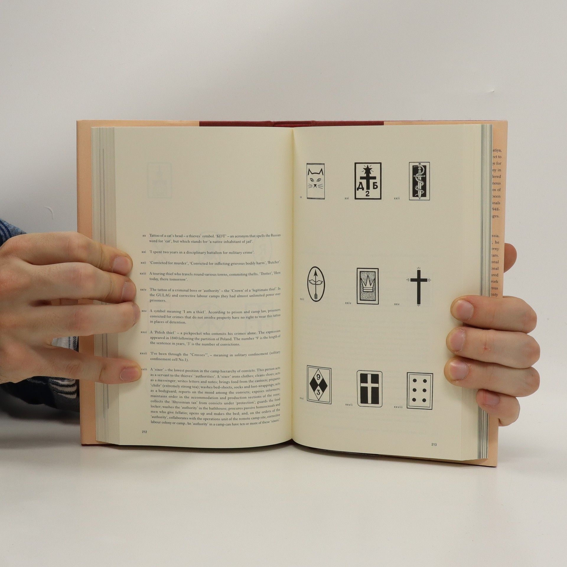 Dancik Sergejevič Baldajev Russian criminal tattoo encyclopaedia