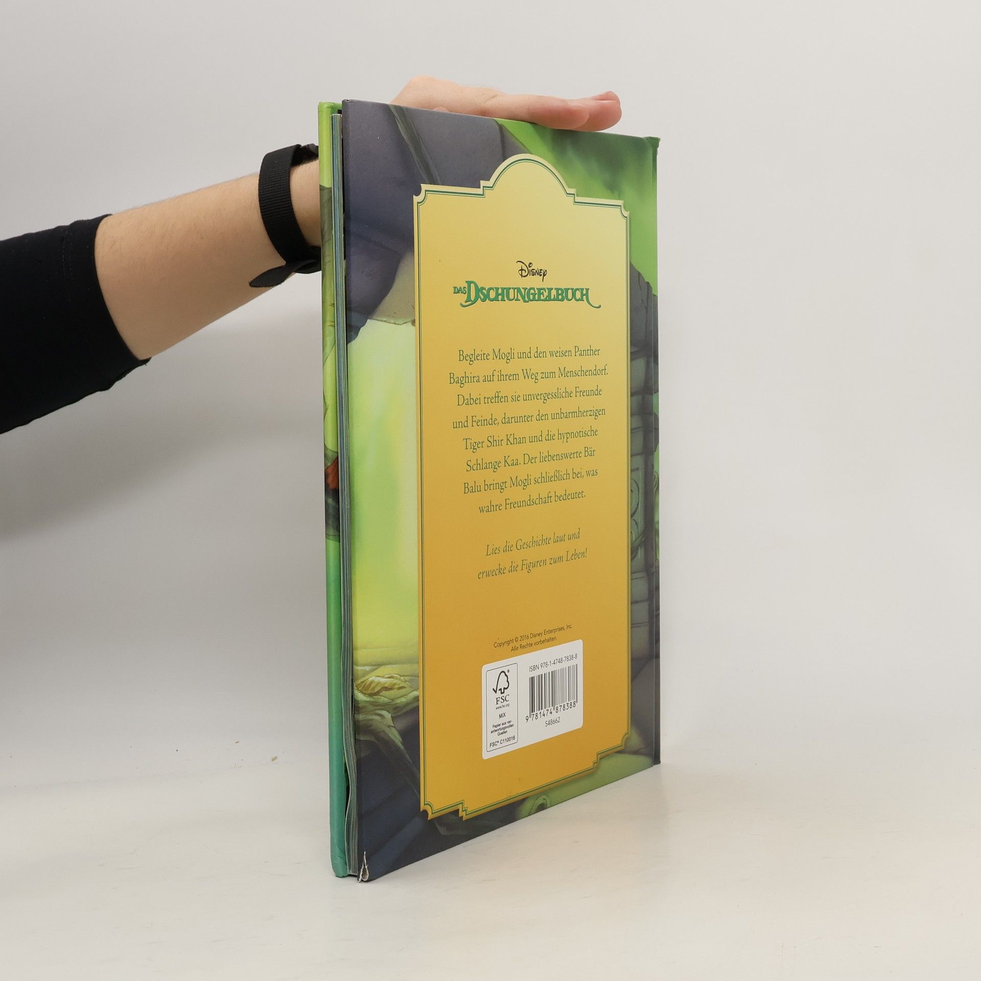 kolektiv Das Dschungelbuch