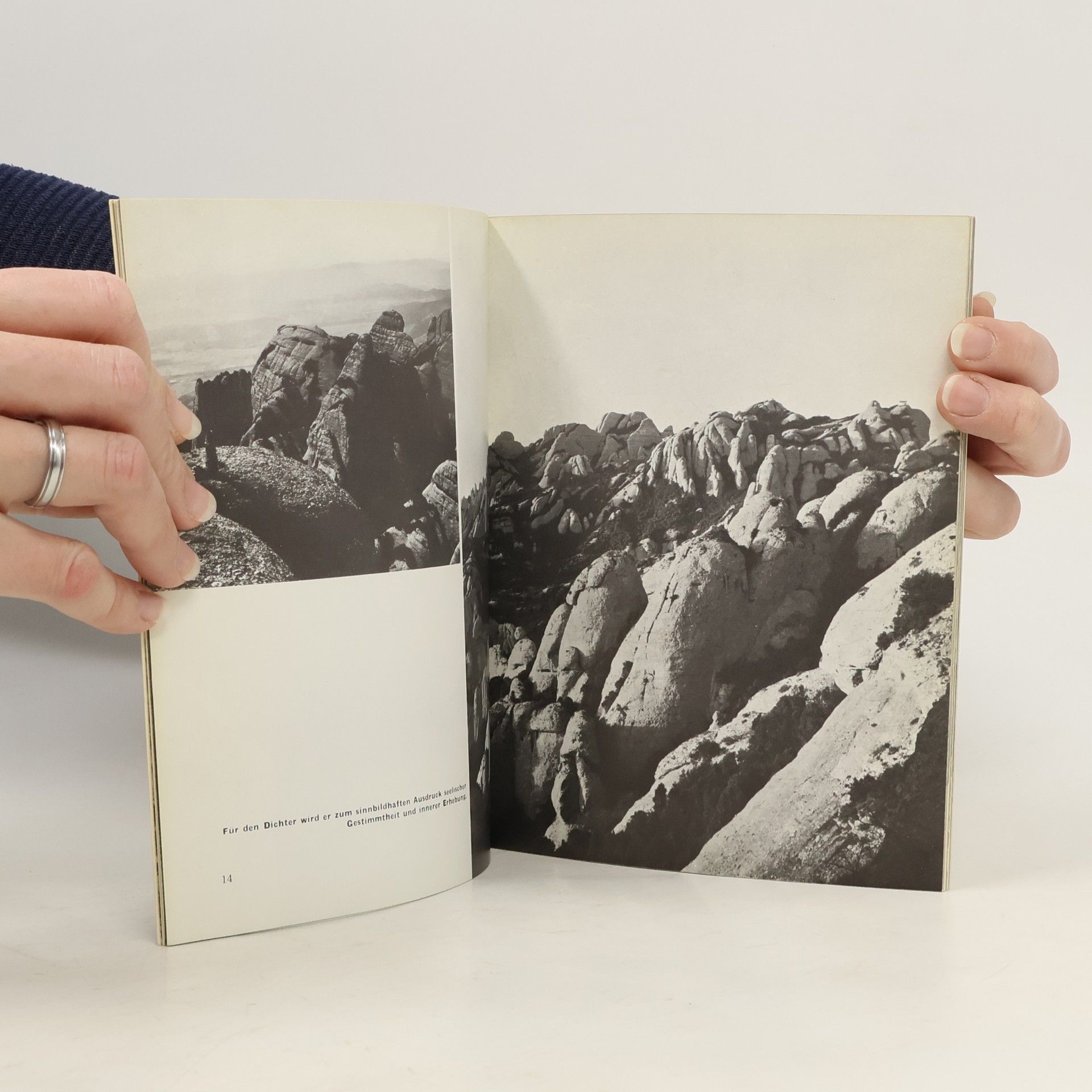 kolektiv Was ist der Montserrat?