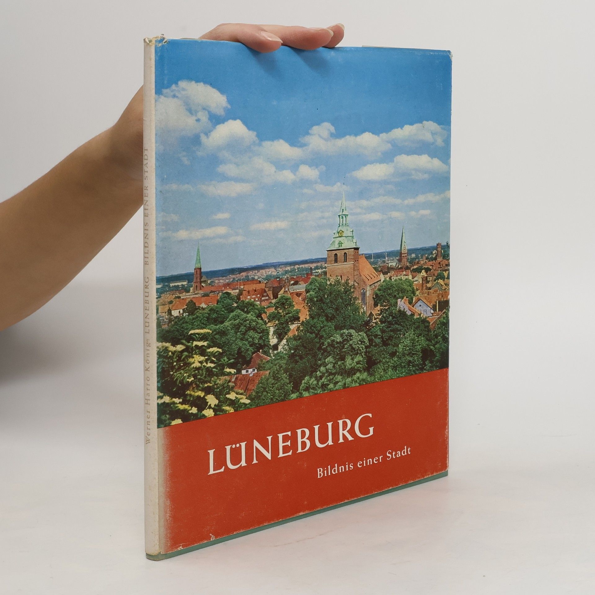 Kolektív autorov Lüneburg. Bildnis einer Stadt