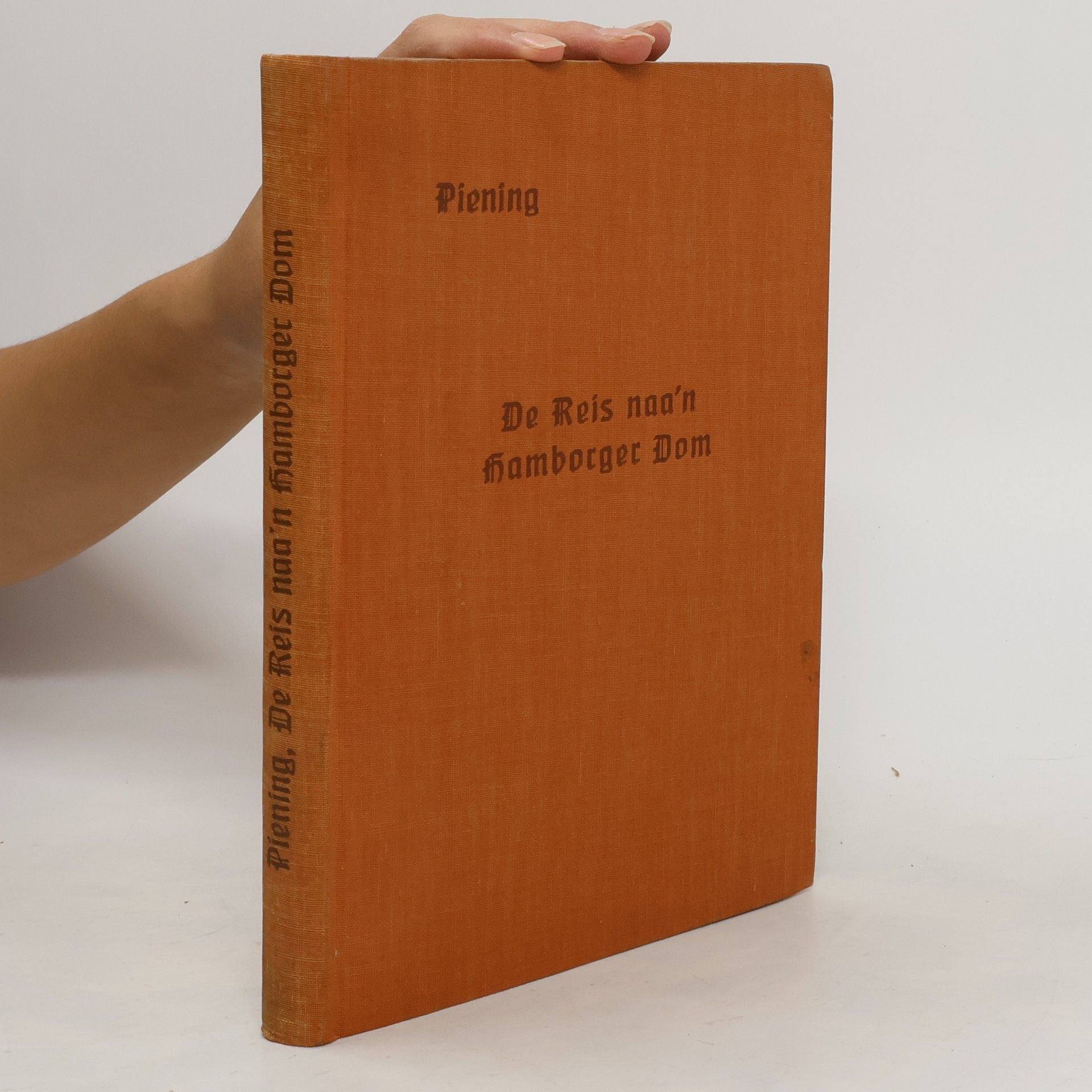 Peter Karl Theodor Piening De Reis na'n Hamborger Dom