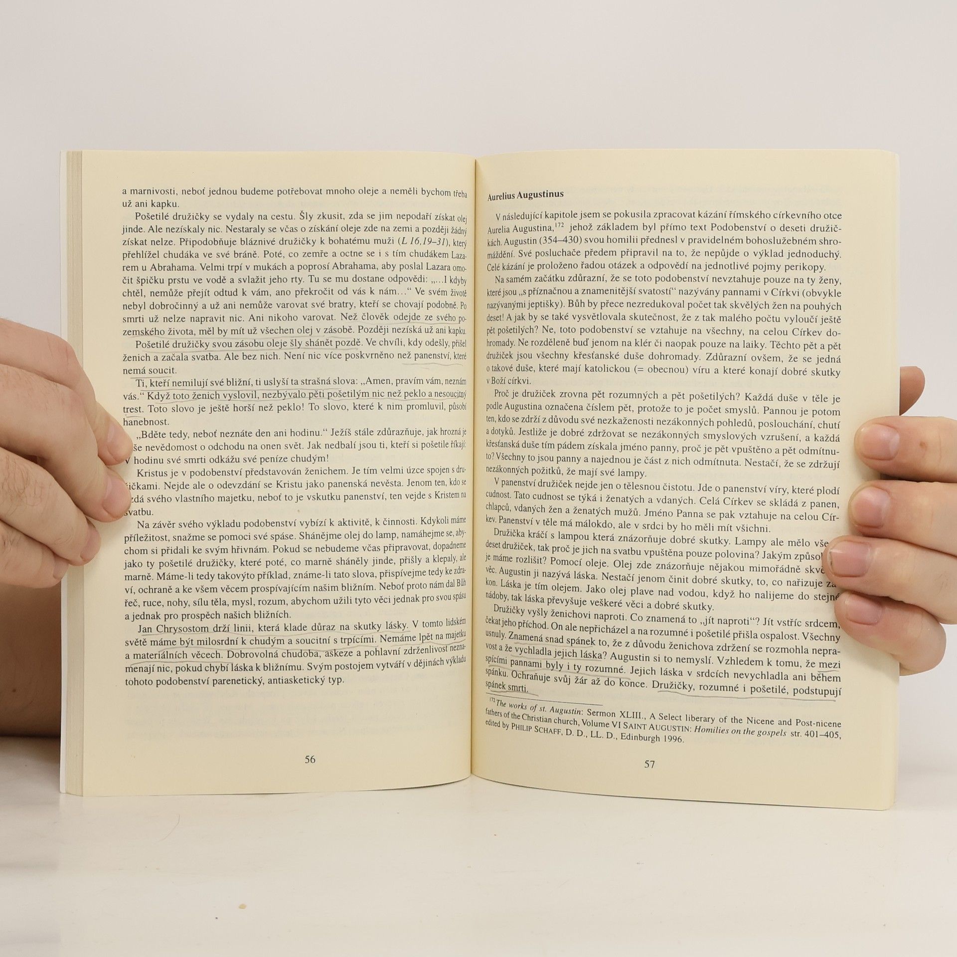 Autorenkollektiv Matoušovské studie