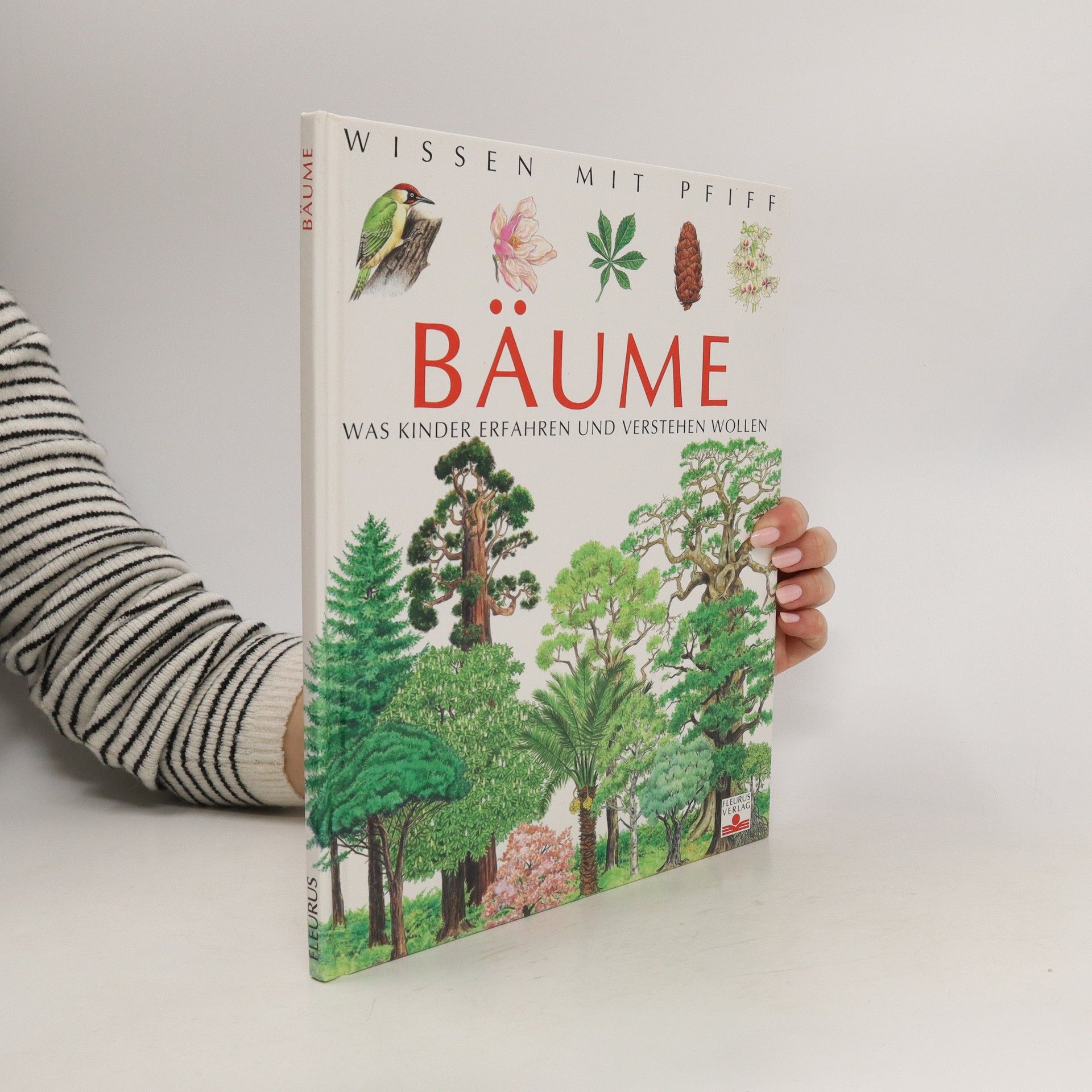 kolektiv Bäume was kinder erfahren und verstehen Wollen