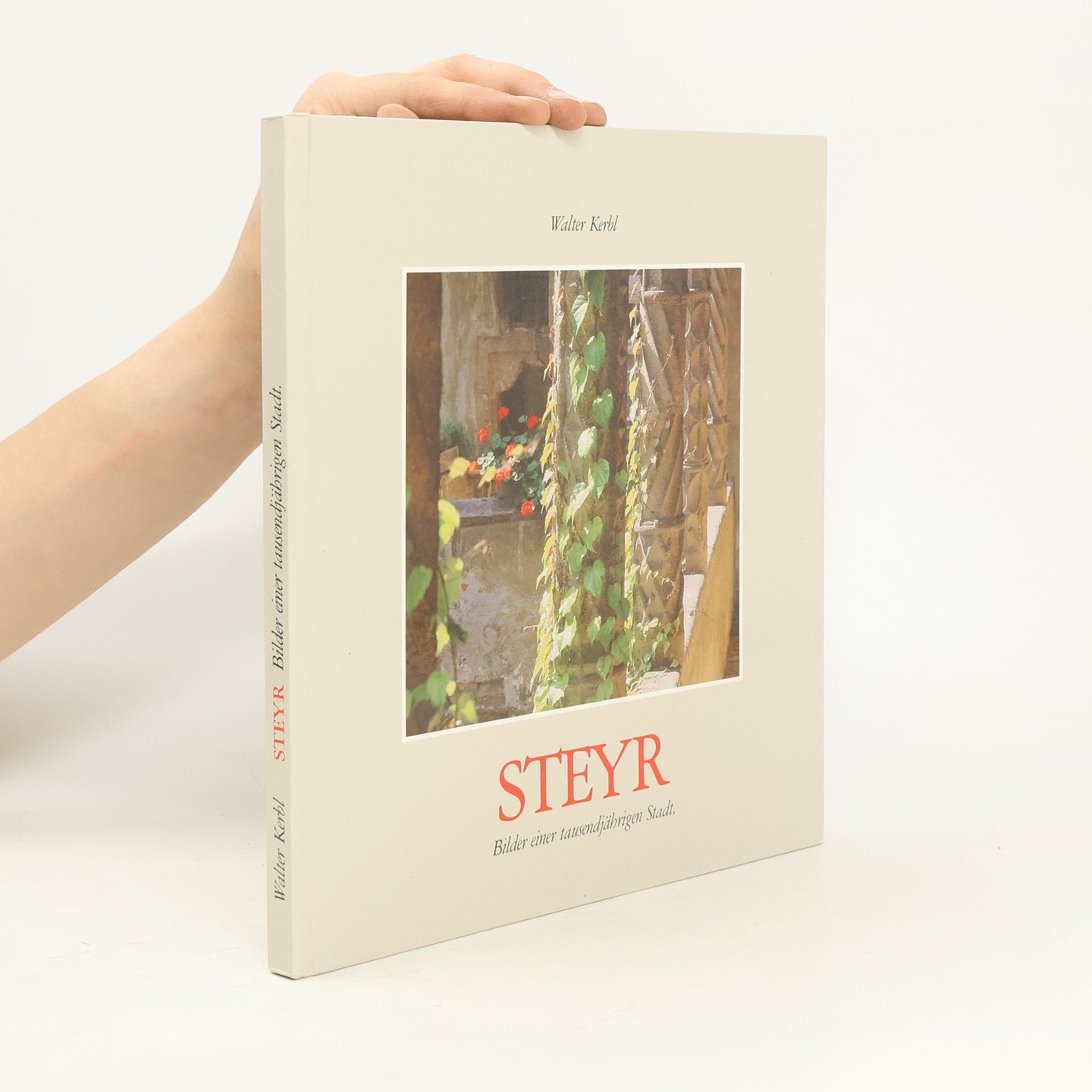 Walter Krebl Steyr. Bilder einer tausendjährigen Stadt