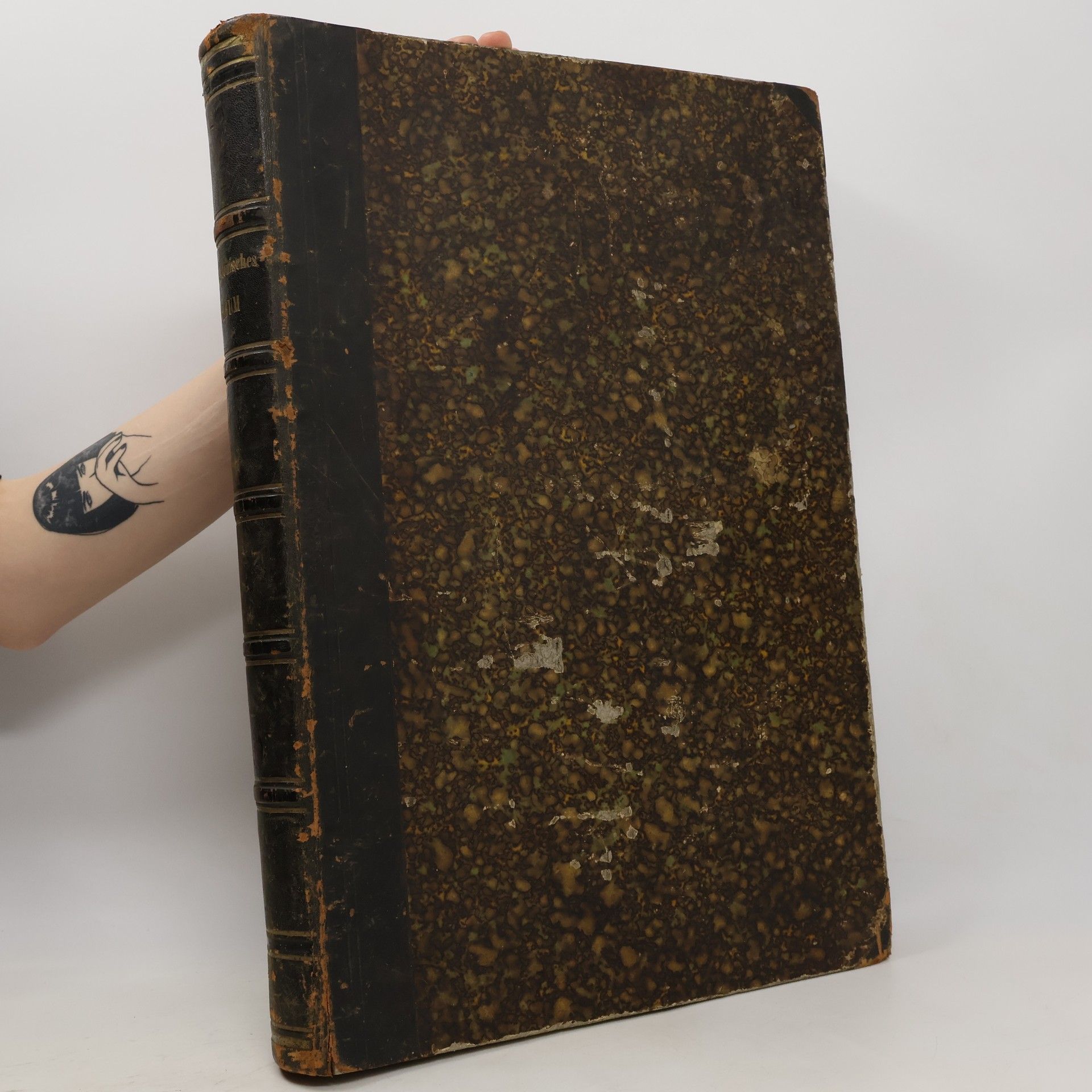 Auteurscollectief Architektonisches Album. Begründet vom Architekten-Verein Zu Berlin Durch Stüler, Knoblauch, Strack