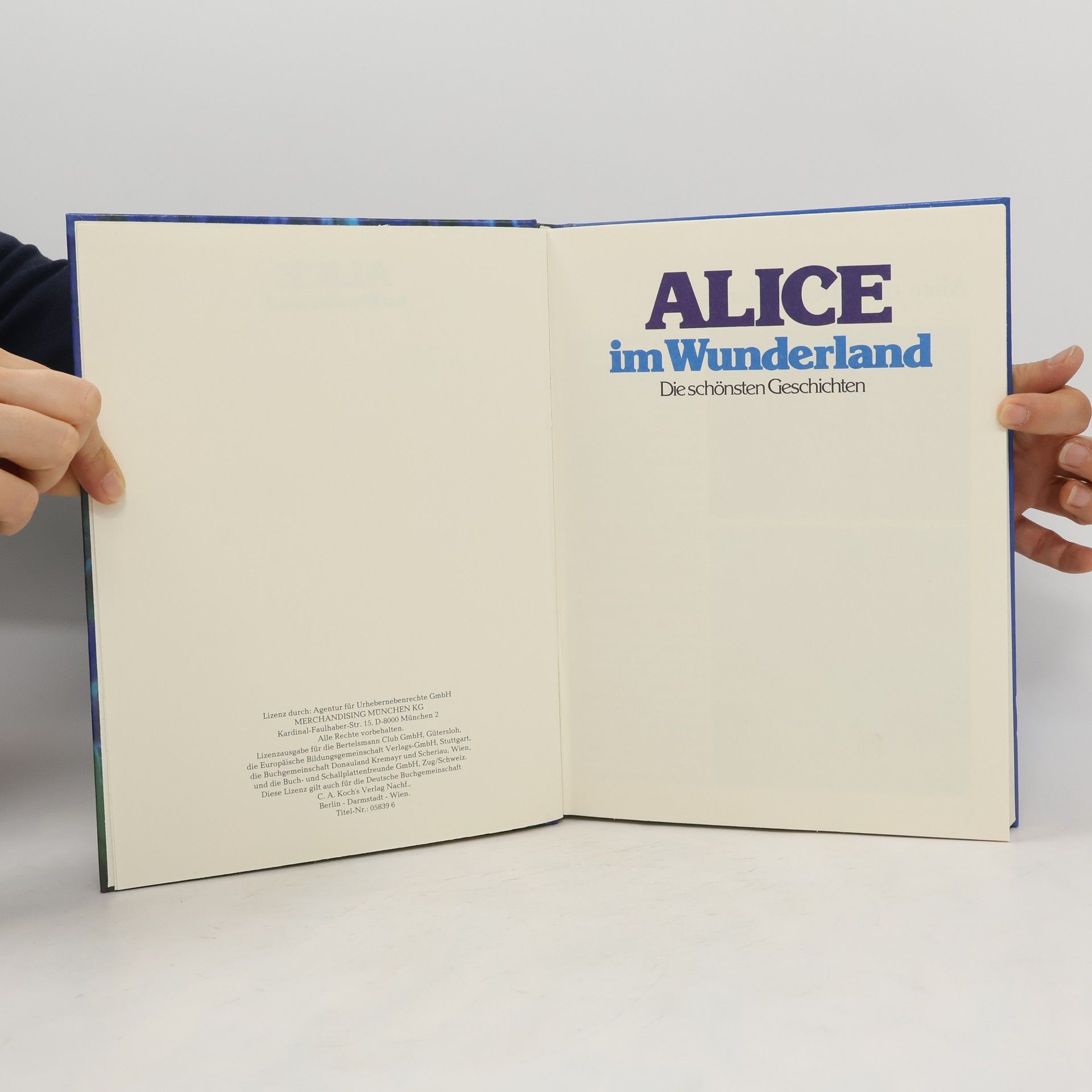 Autorenkollektiv Alice im Wunderland