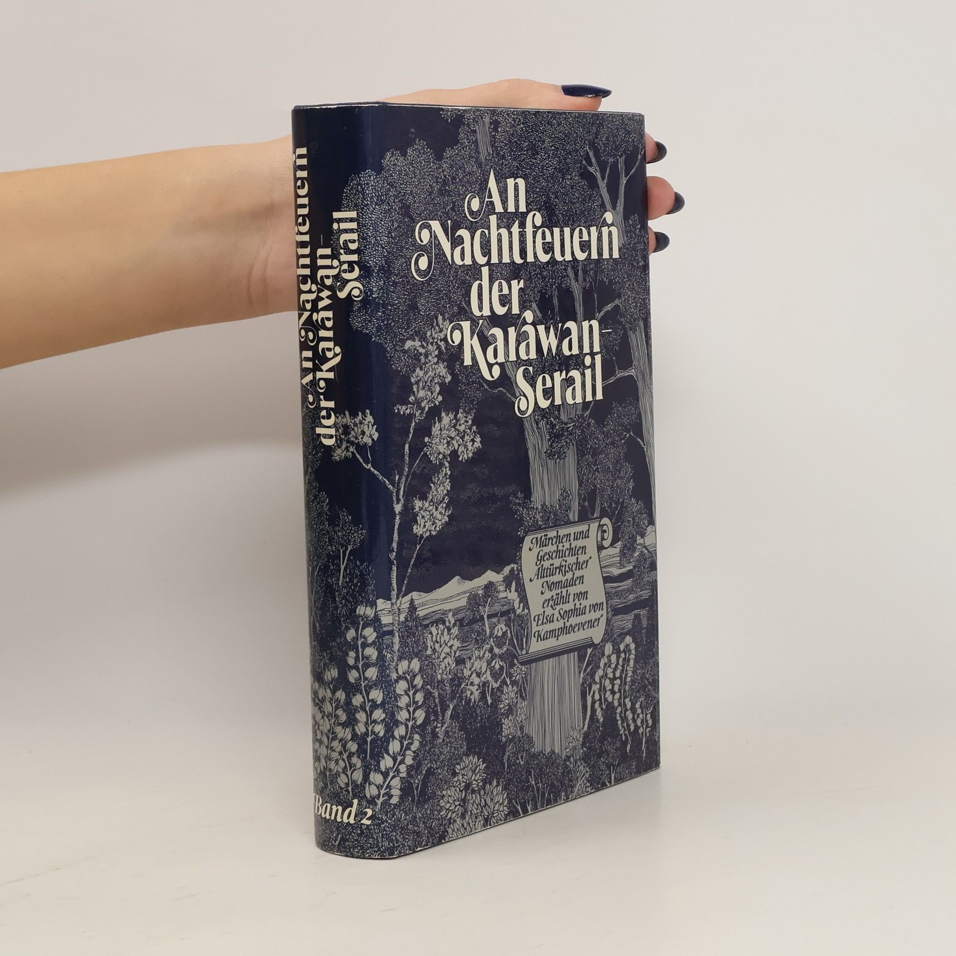 Kolektív autorov An Nachtfeuern der Karawan Serail 2