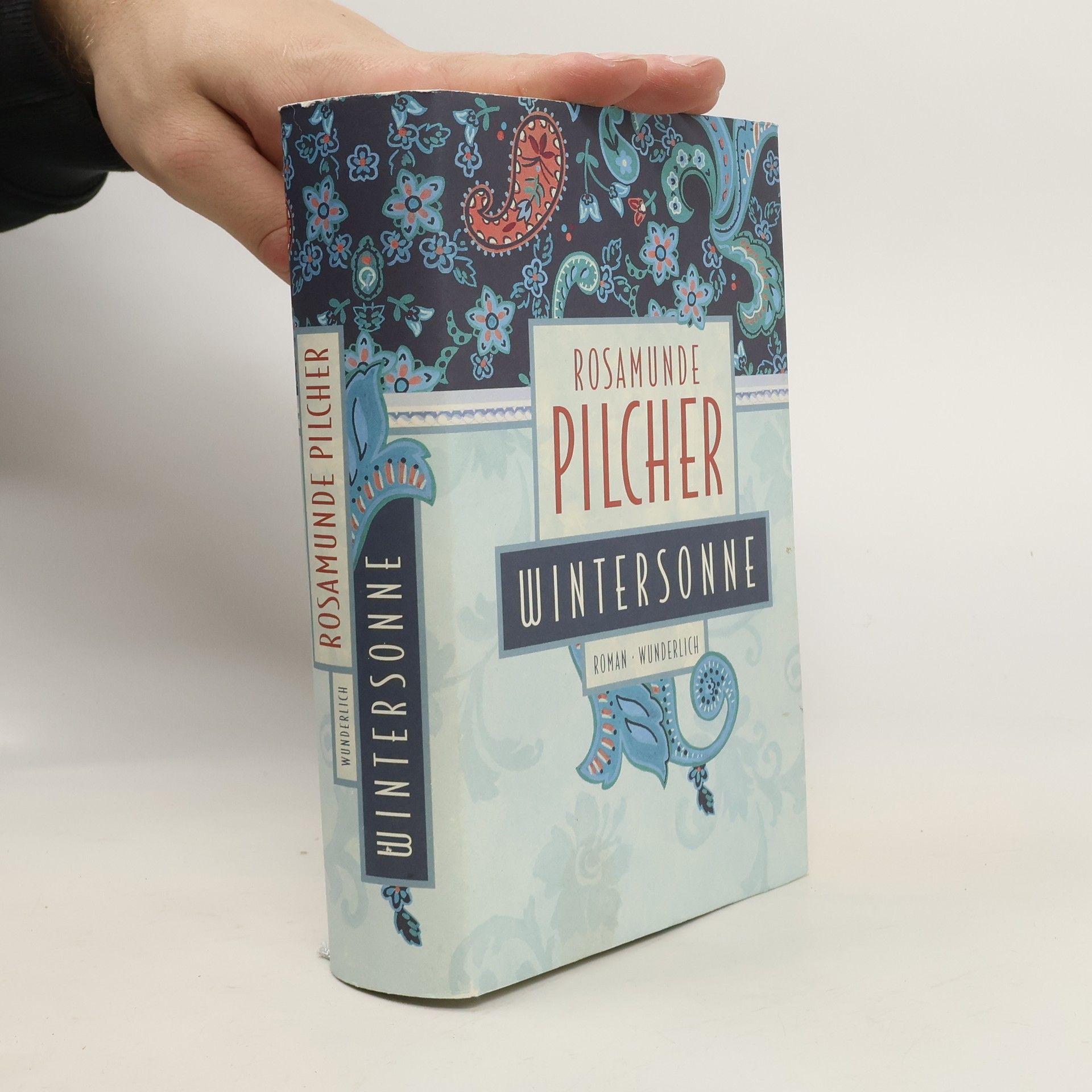 Rosamunde Pilcher Wintersonne