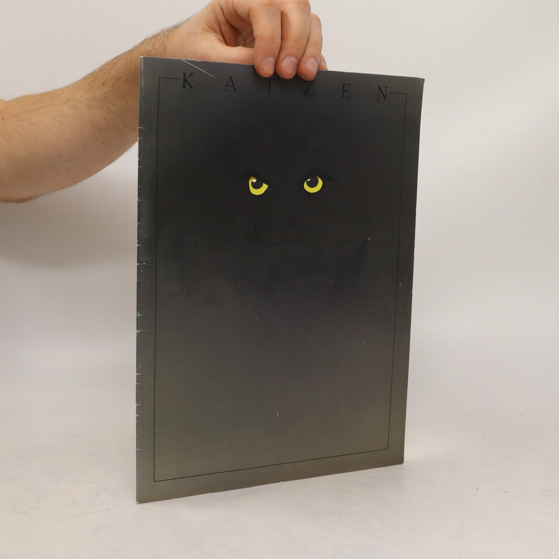 kolektiv Katzen