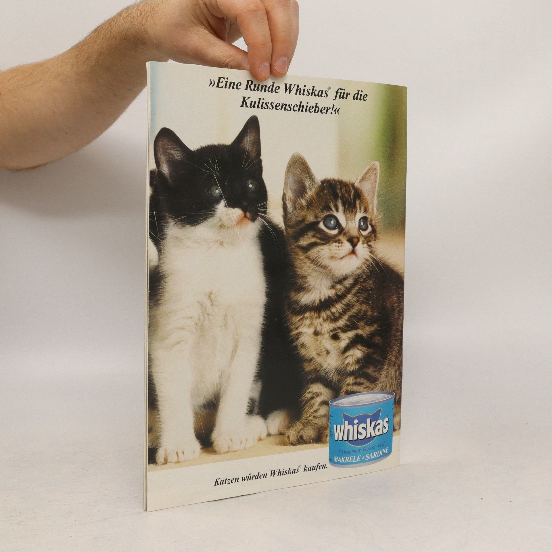 kolektiv Katzen