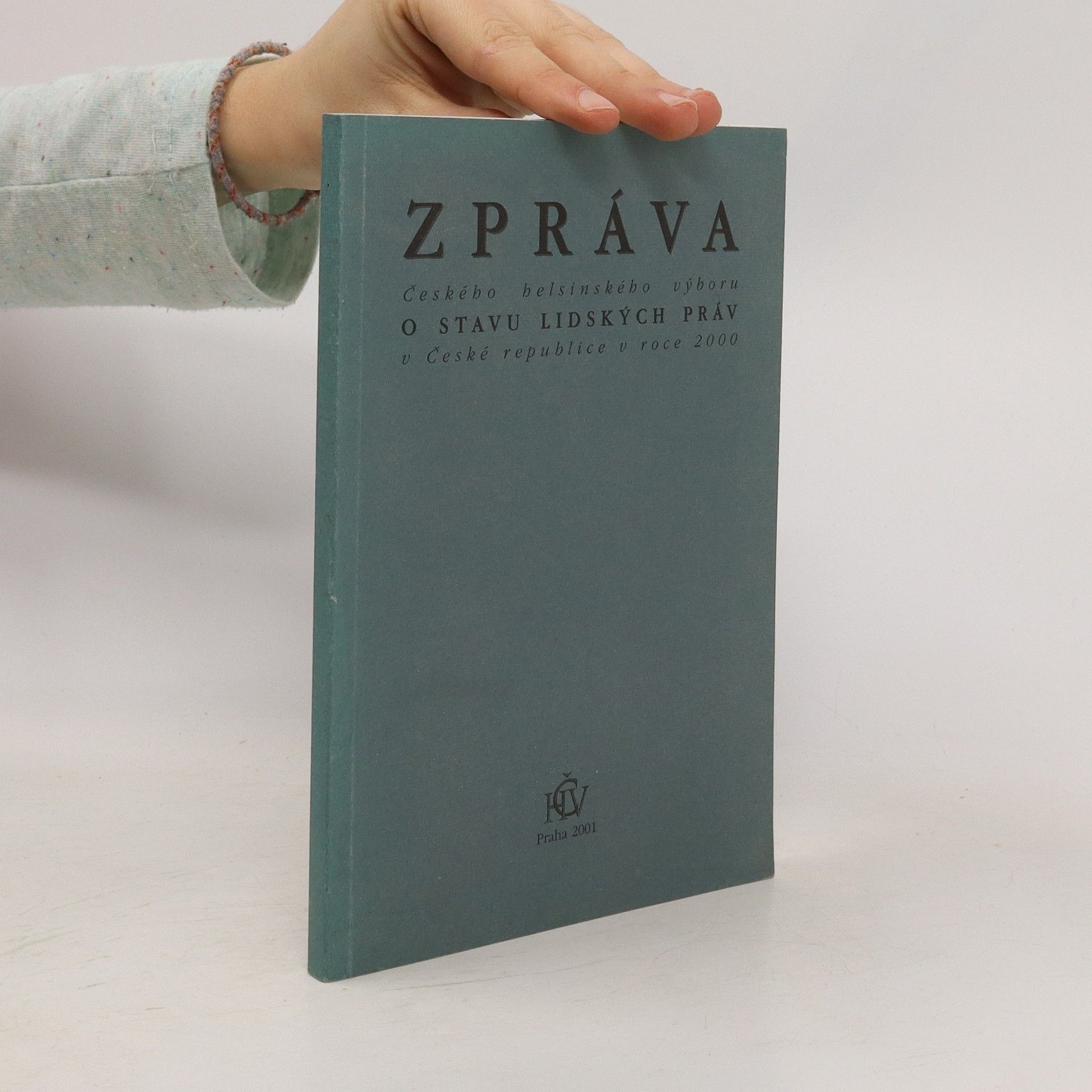 Autorenkollektiv Zpráva Českého helsinského výboru o stavu lidských práv v České republice v roce 2000