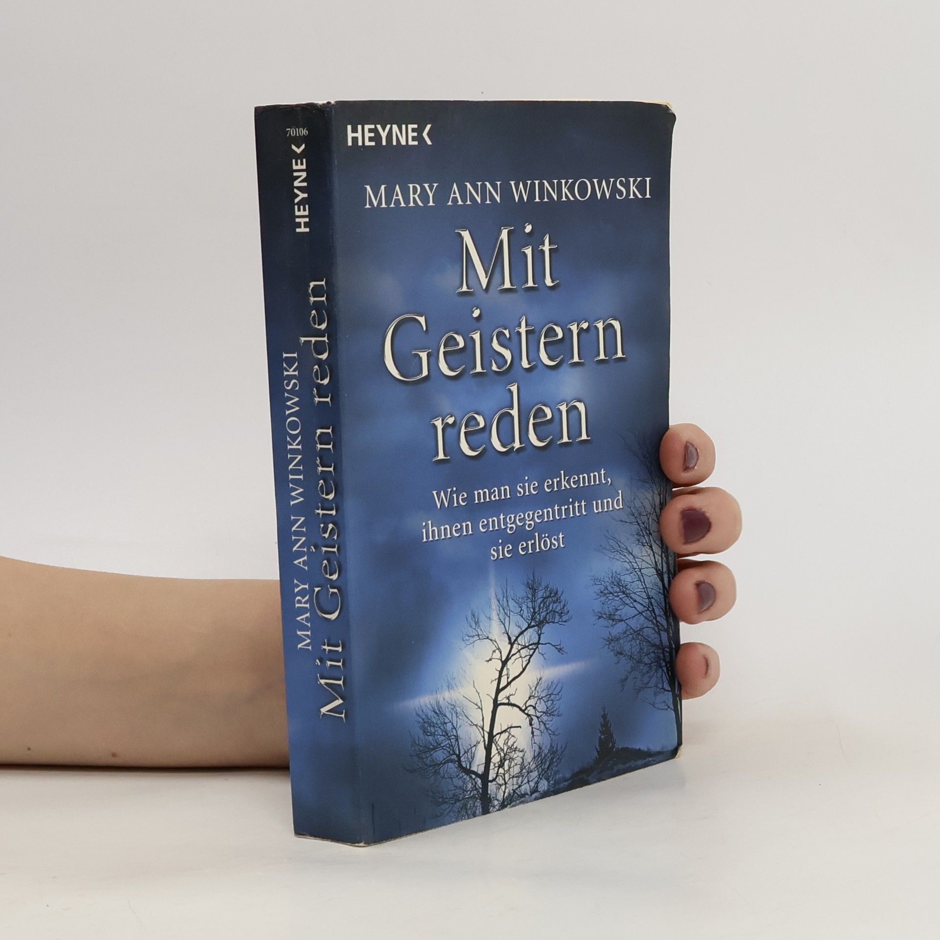 Mary Ann Winkowski Mit Geistern reden