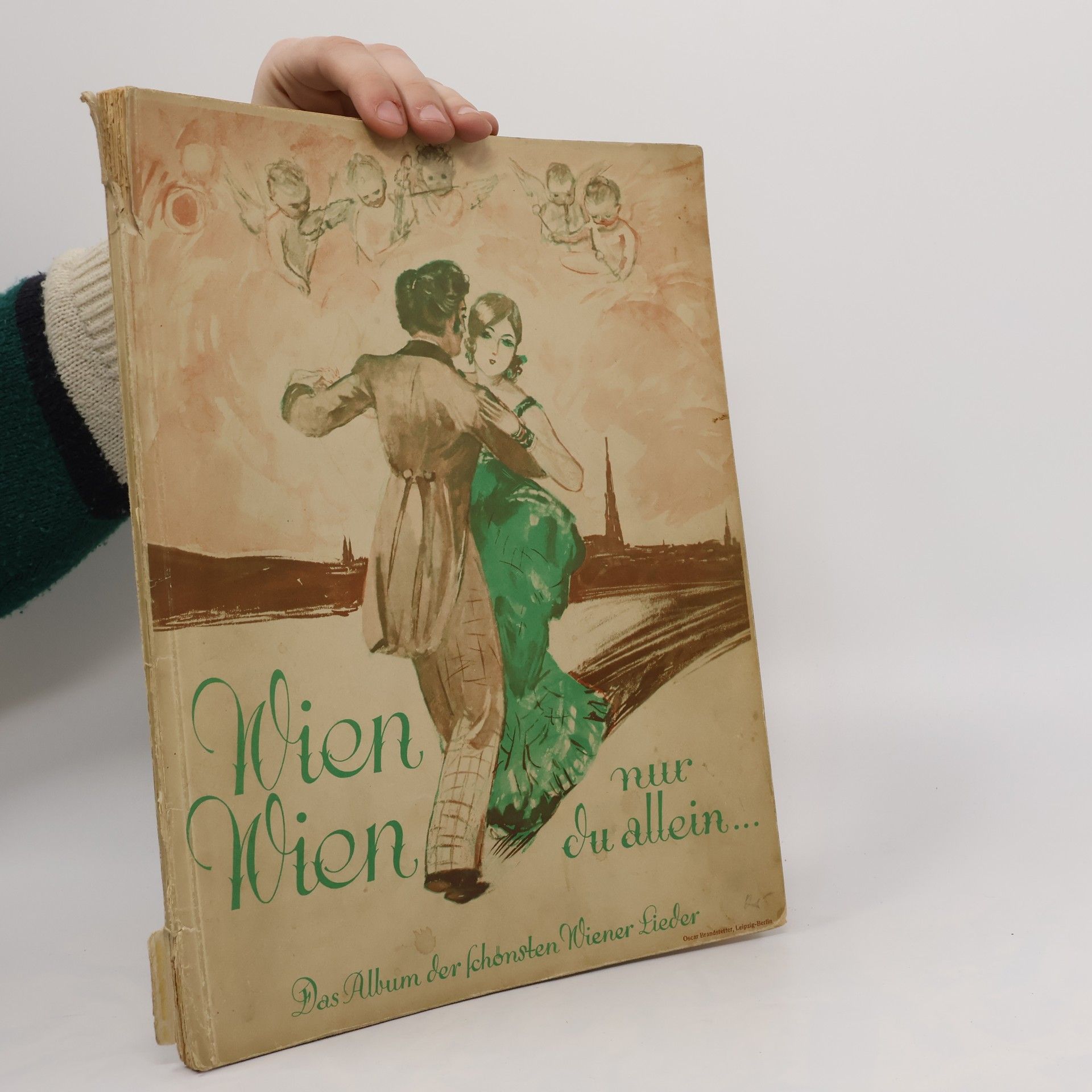 AA.VV. Wien Wien nur du Allein