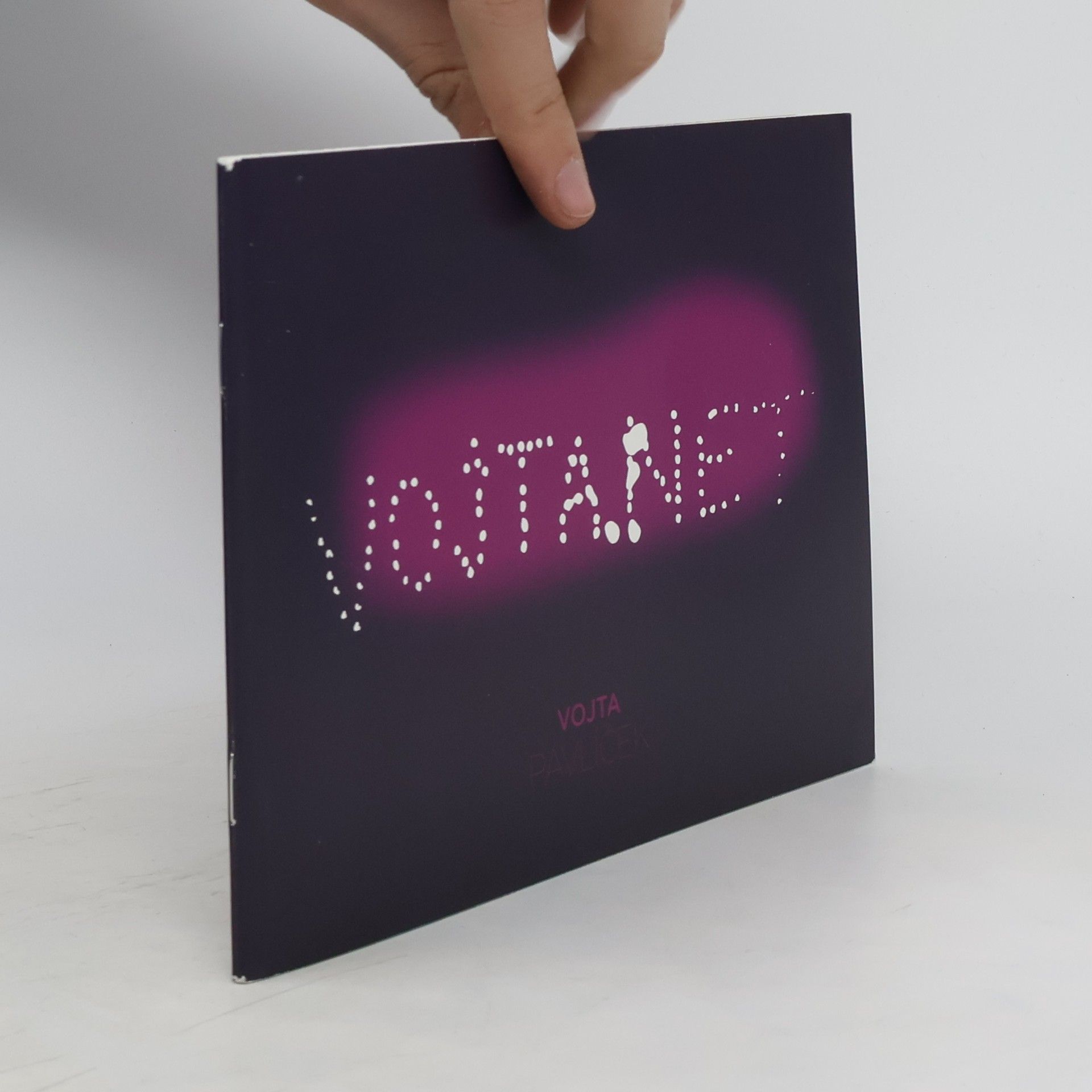 Vojta Pavlíček Vojtanet