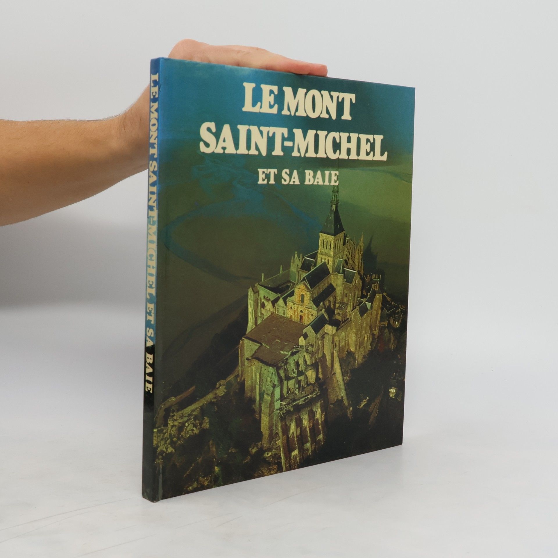 Gilles Henry Le Mont Saint-Michel et sa baie