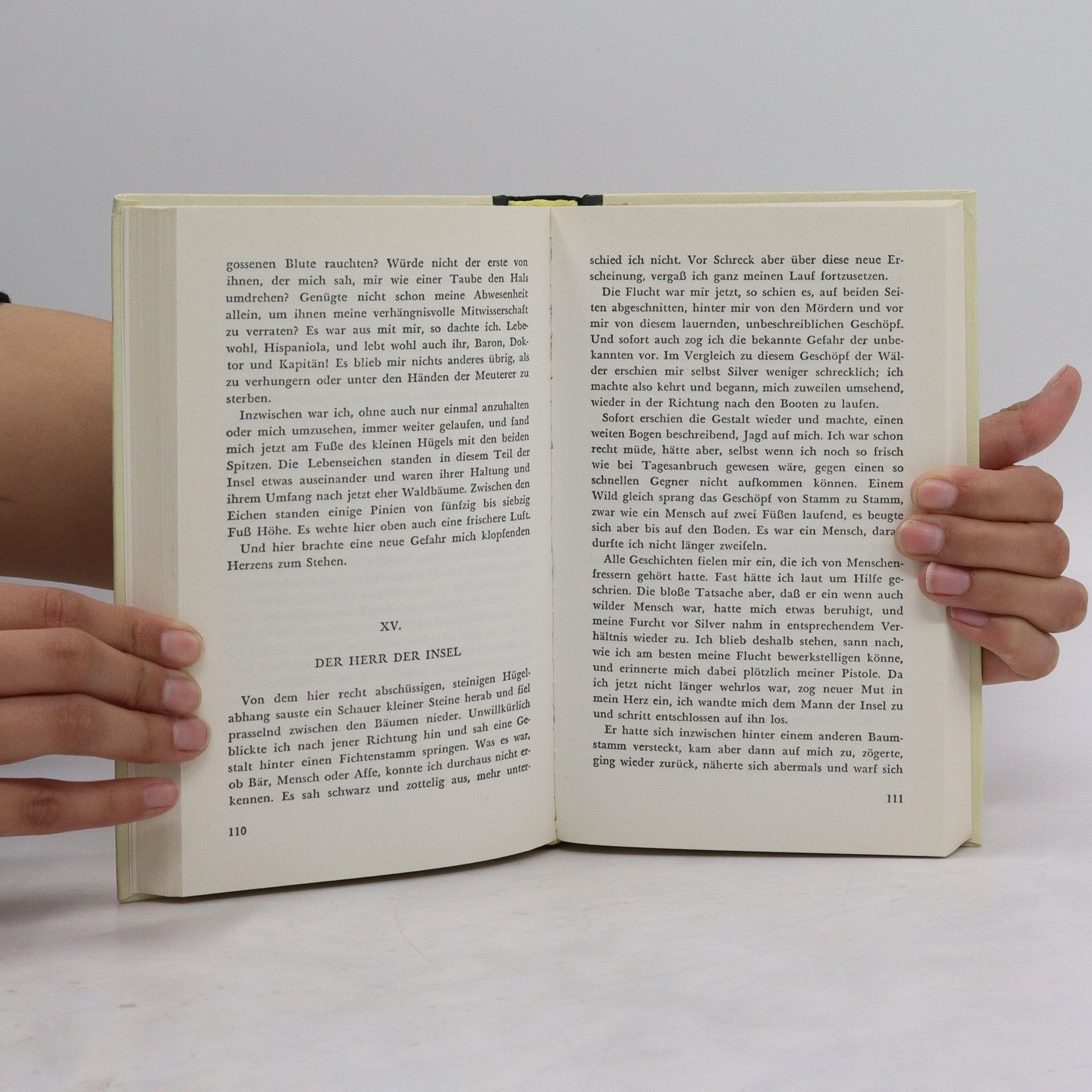 Robert Louis Stevenson Die Schatzinsel