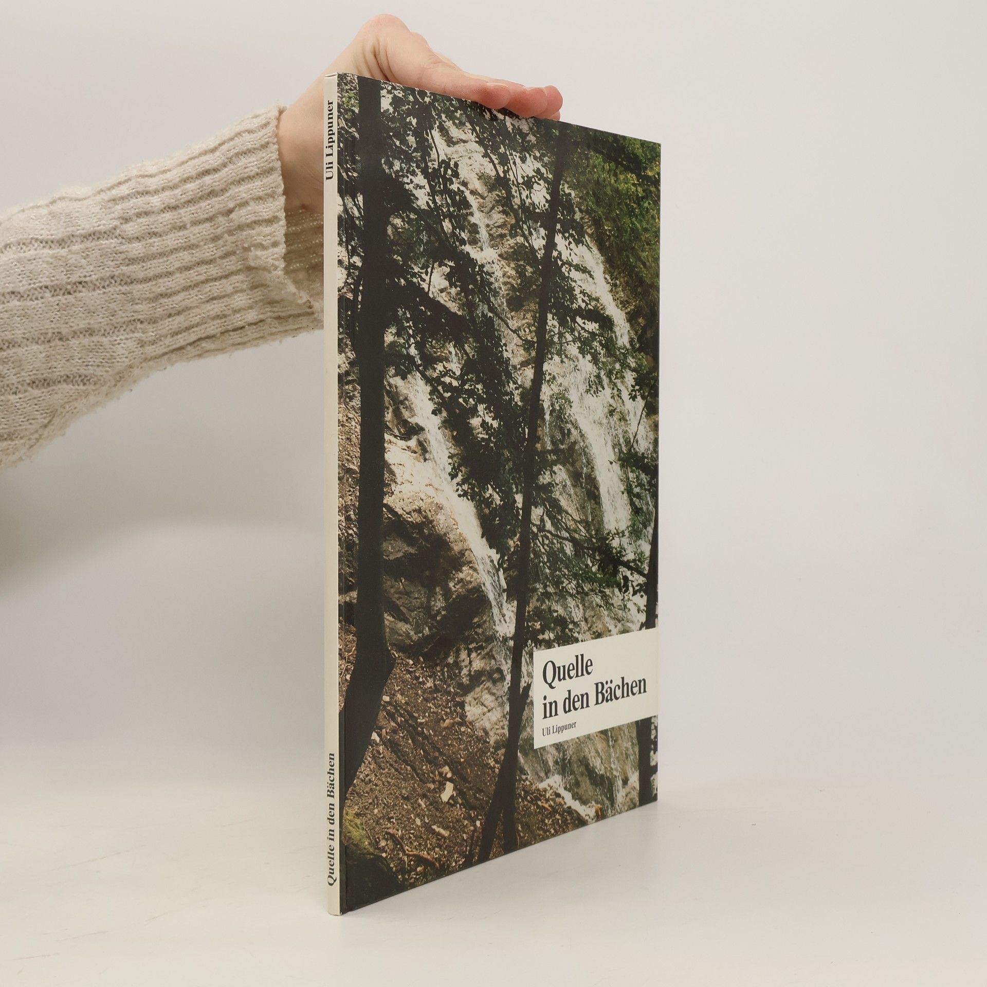 Uli Lippuner Quelle in den Bächen