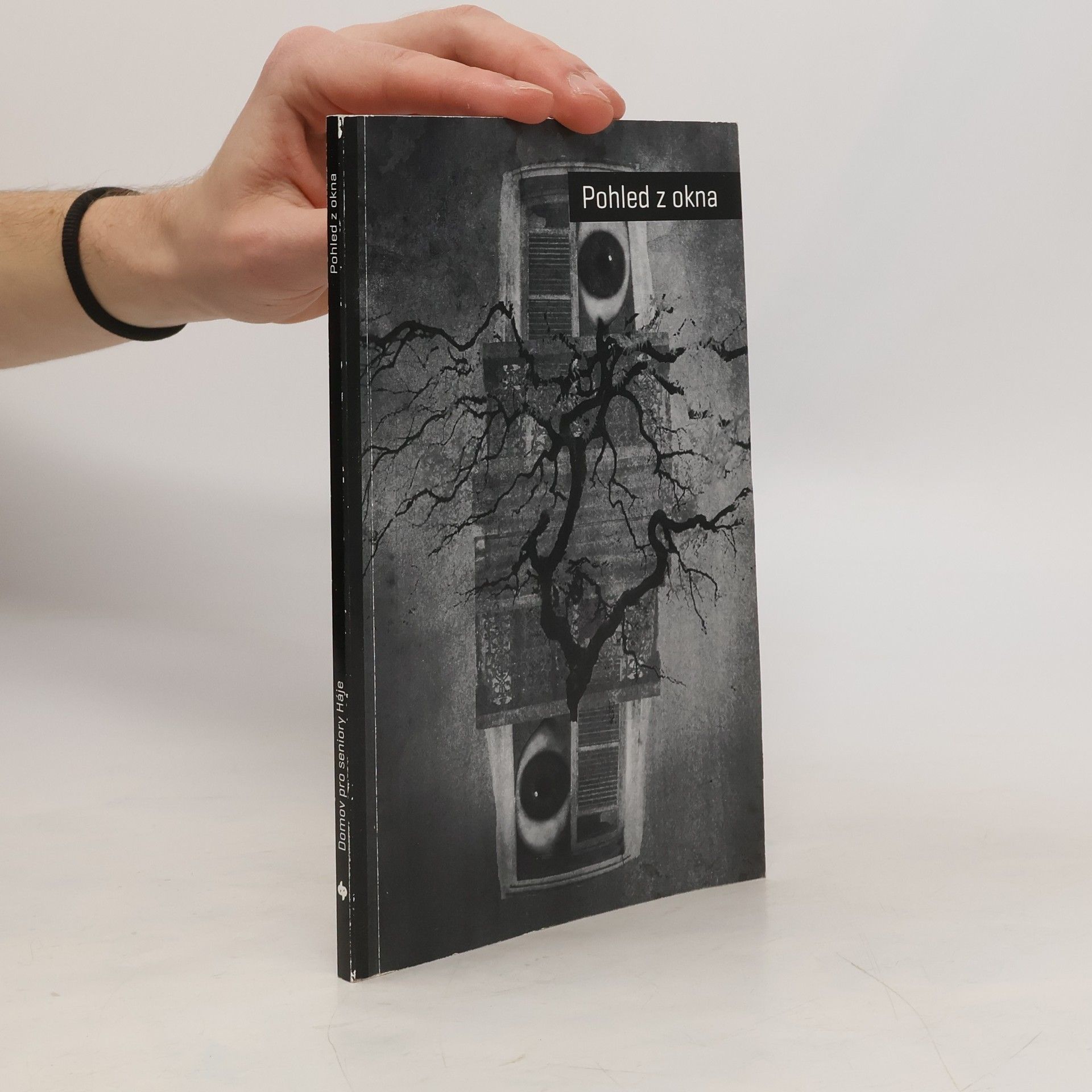 Kolektiv autorů Pohled z okna