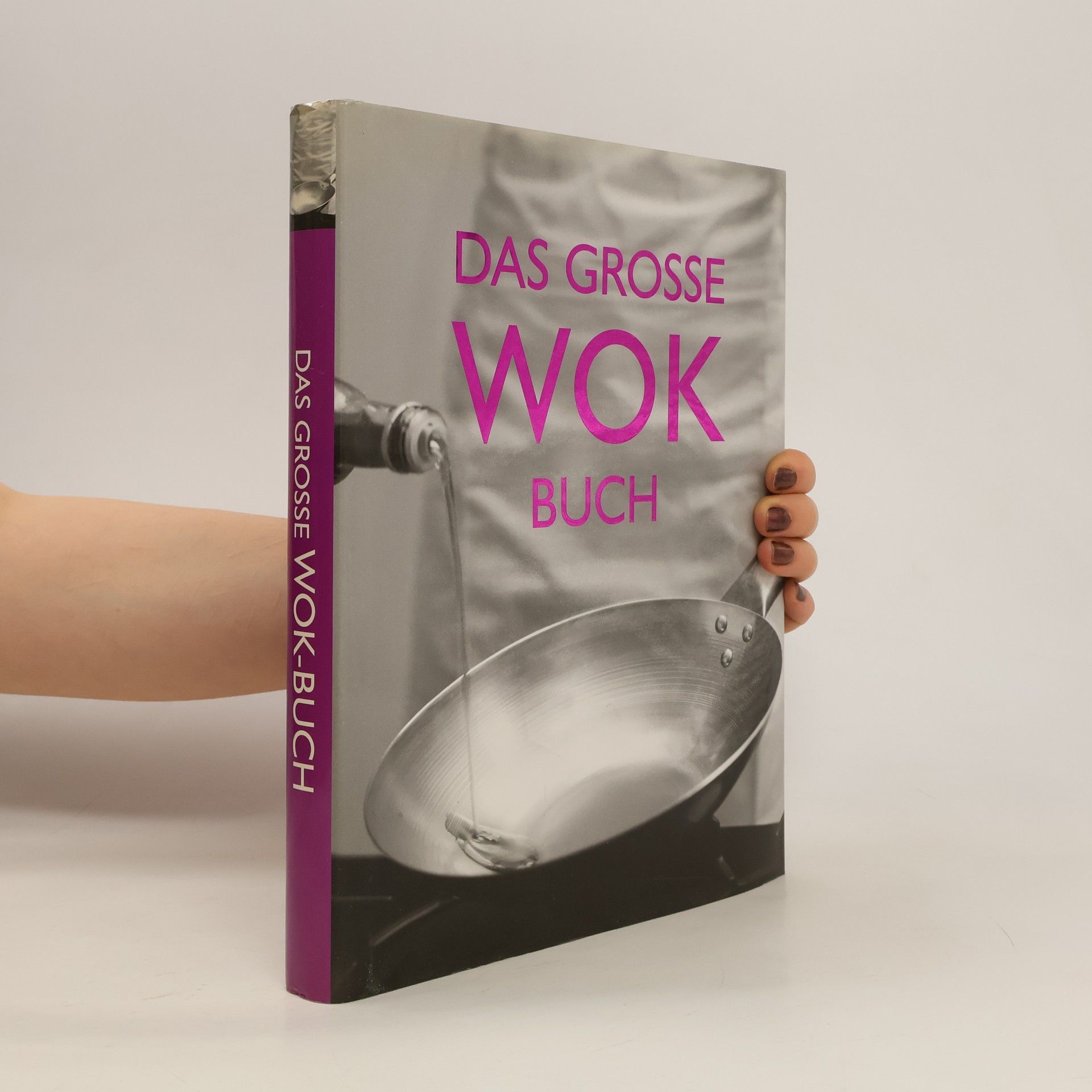 Autorenkollektiv Das grosse Wok Buch
