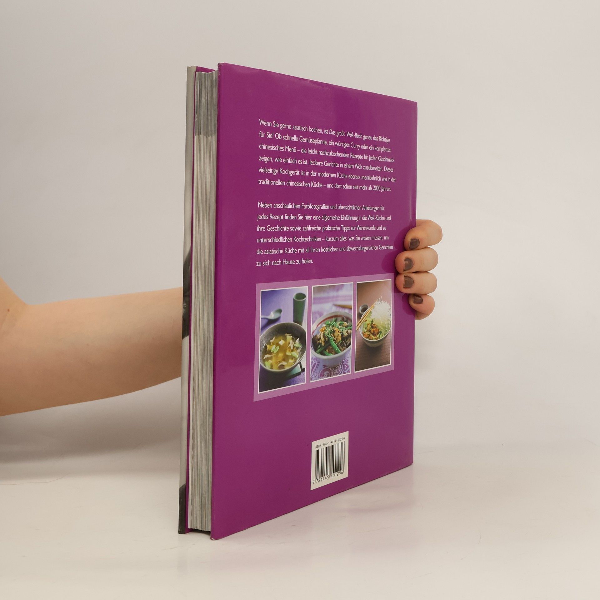 Autorenkollektiv Das grosse Wok Buch