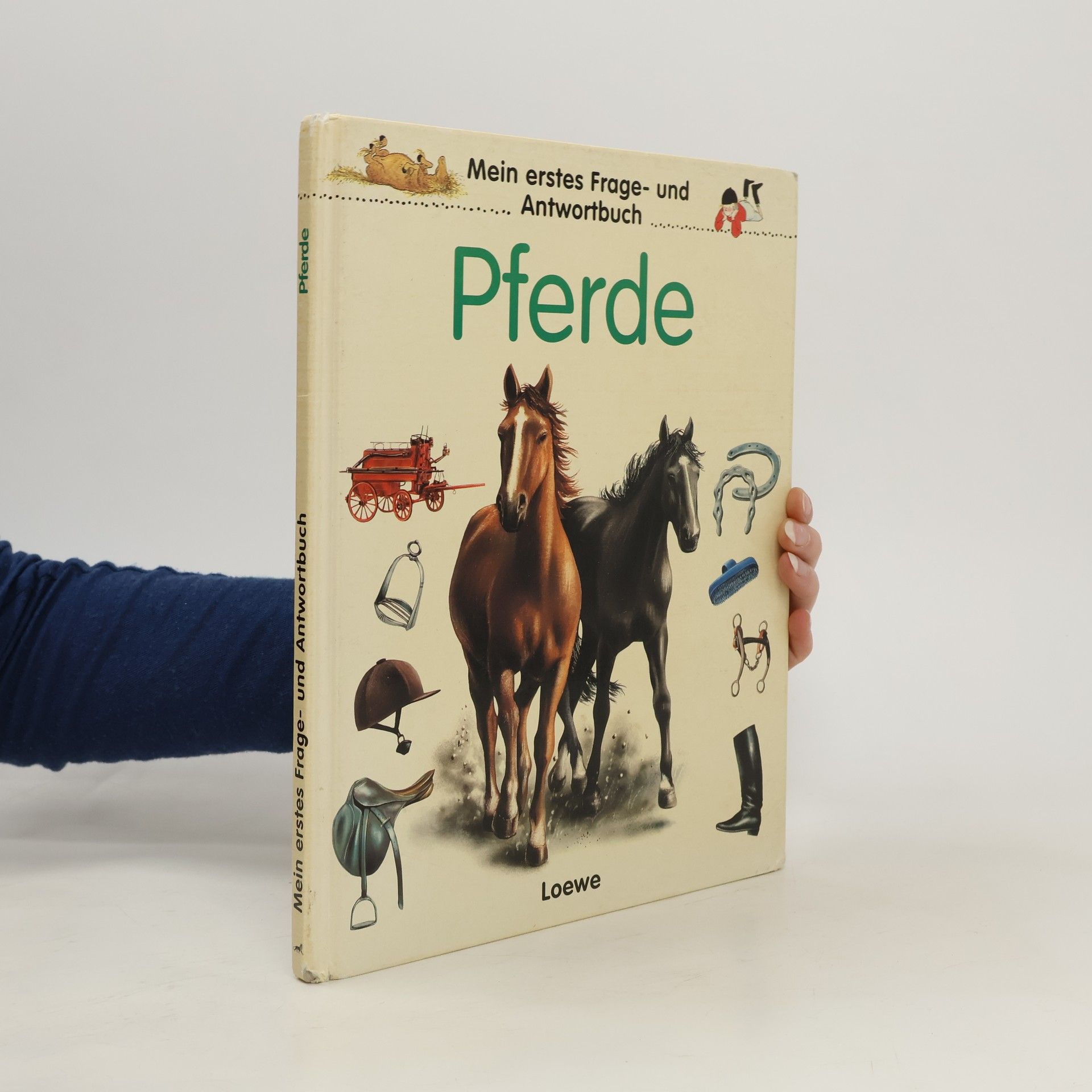 Marilis Lunkenbein Pferde