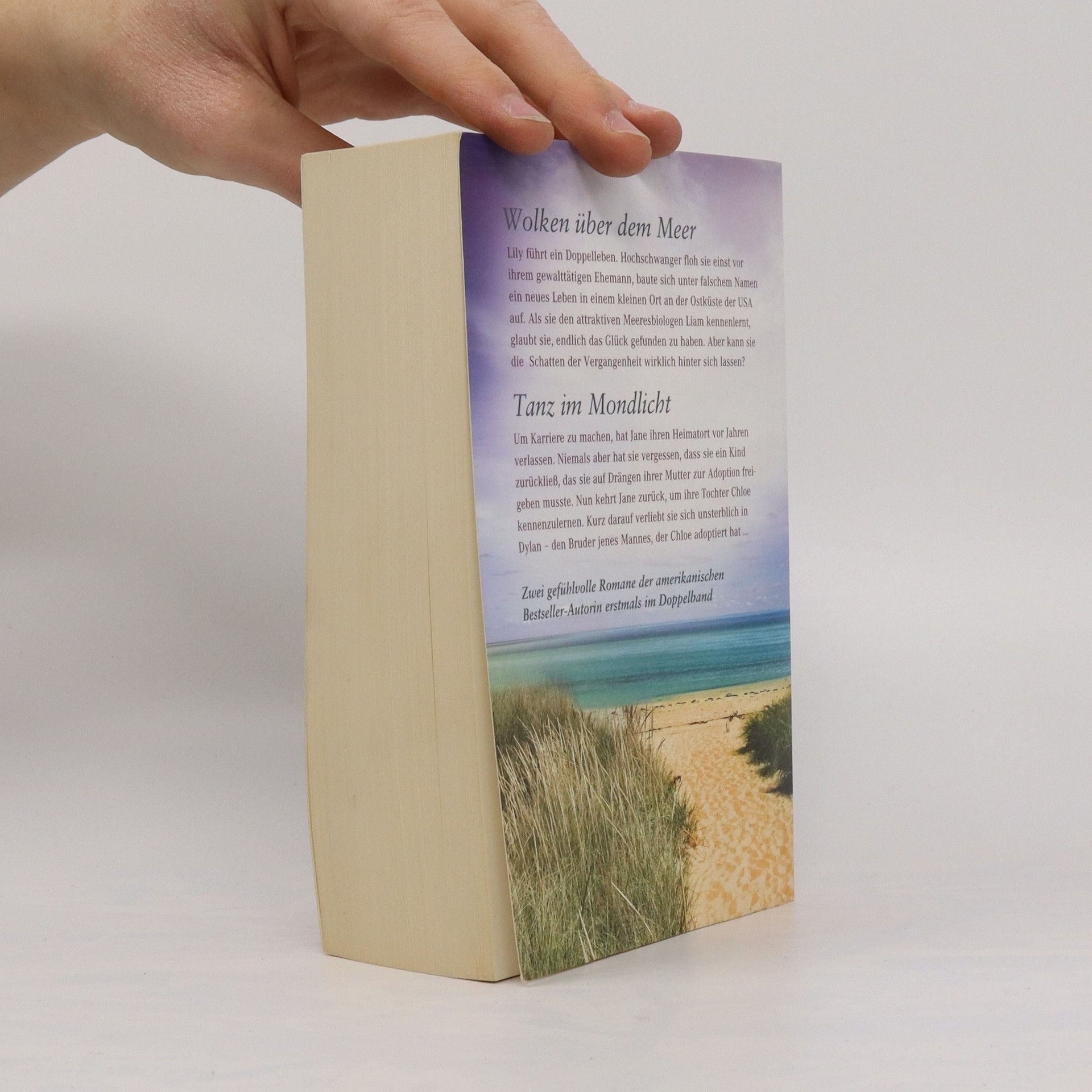 Luanne Rice Wolken über dem Meer