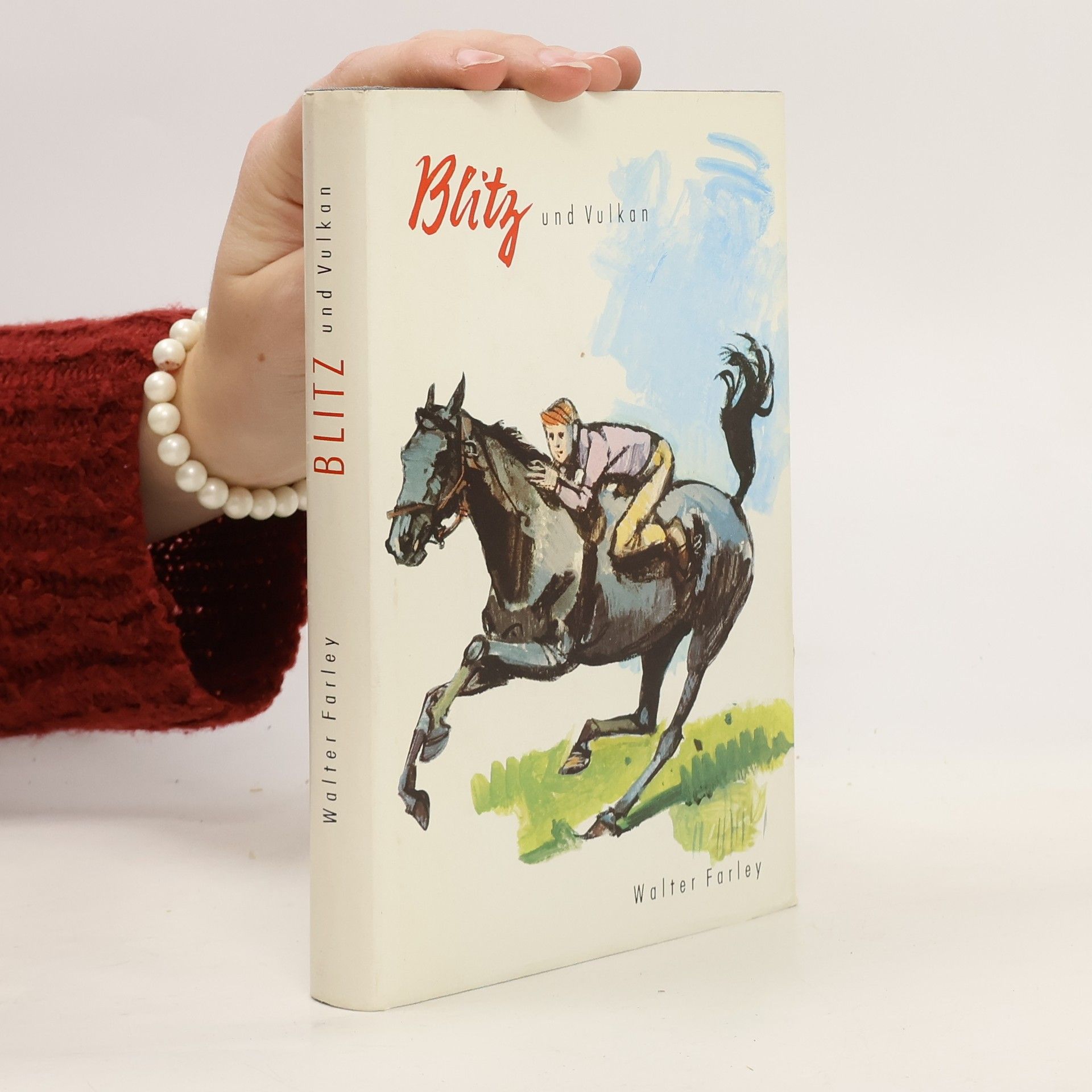 Walter Farley Blitz und Vulkan