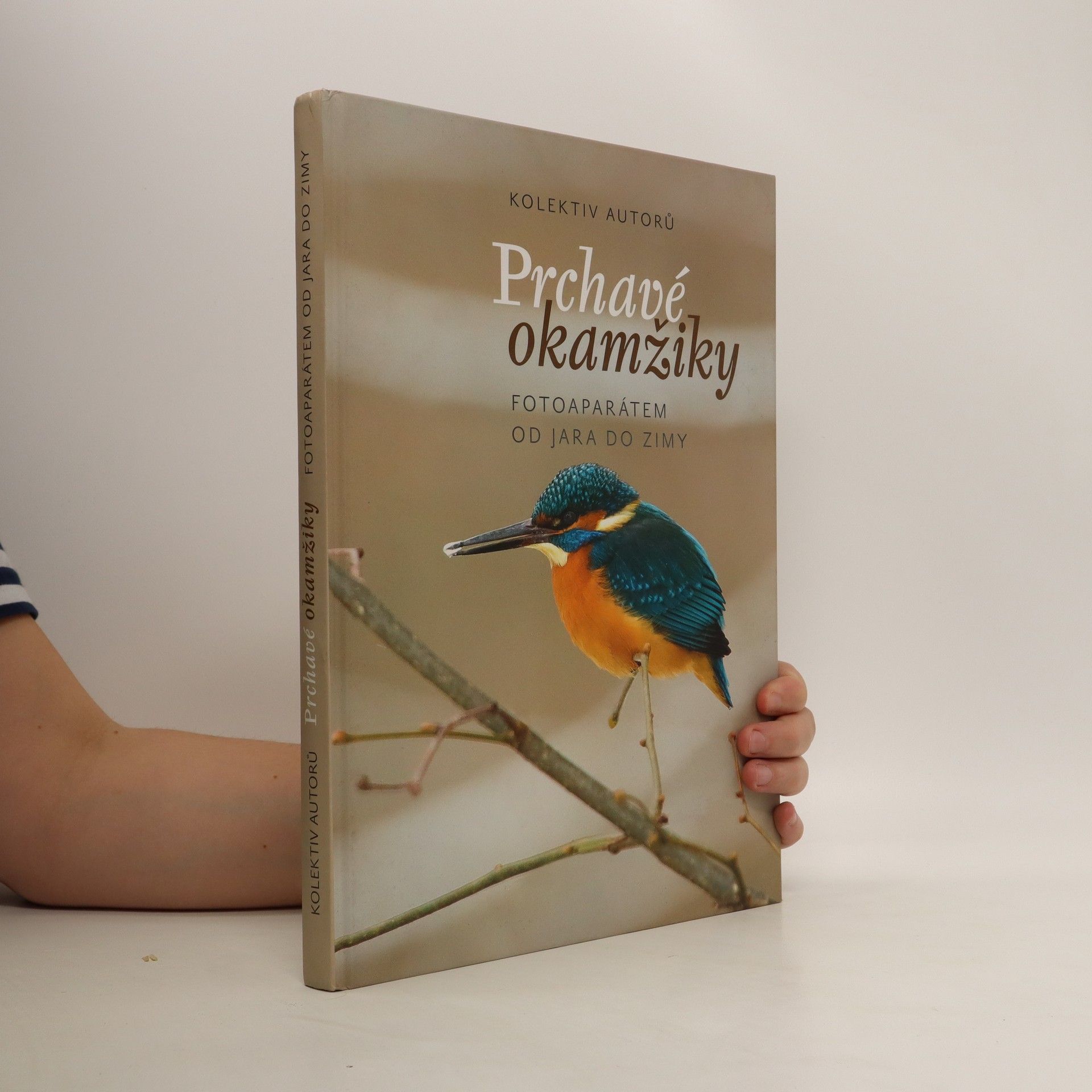AA.VV. Prchavé okamžiky přírody - Fotoaparátem od jara do zimy