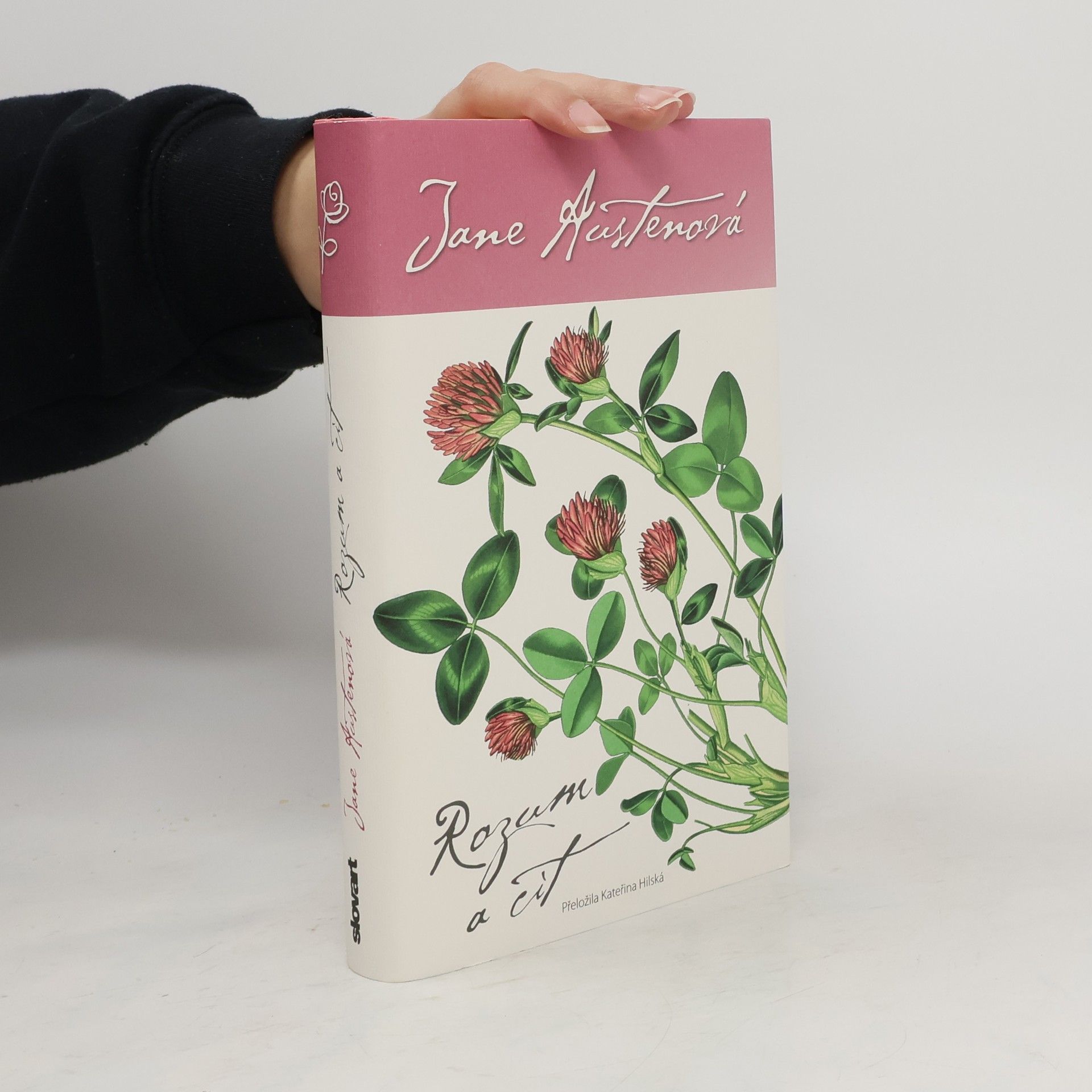 Jane Austen Rozum a cit
