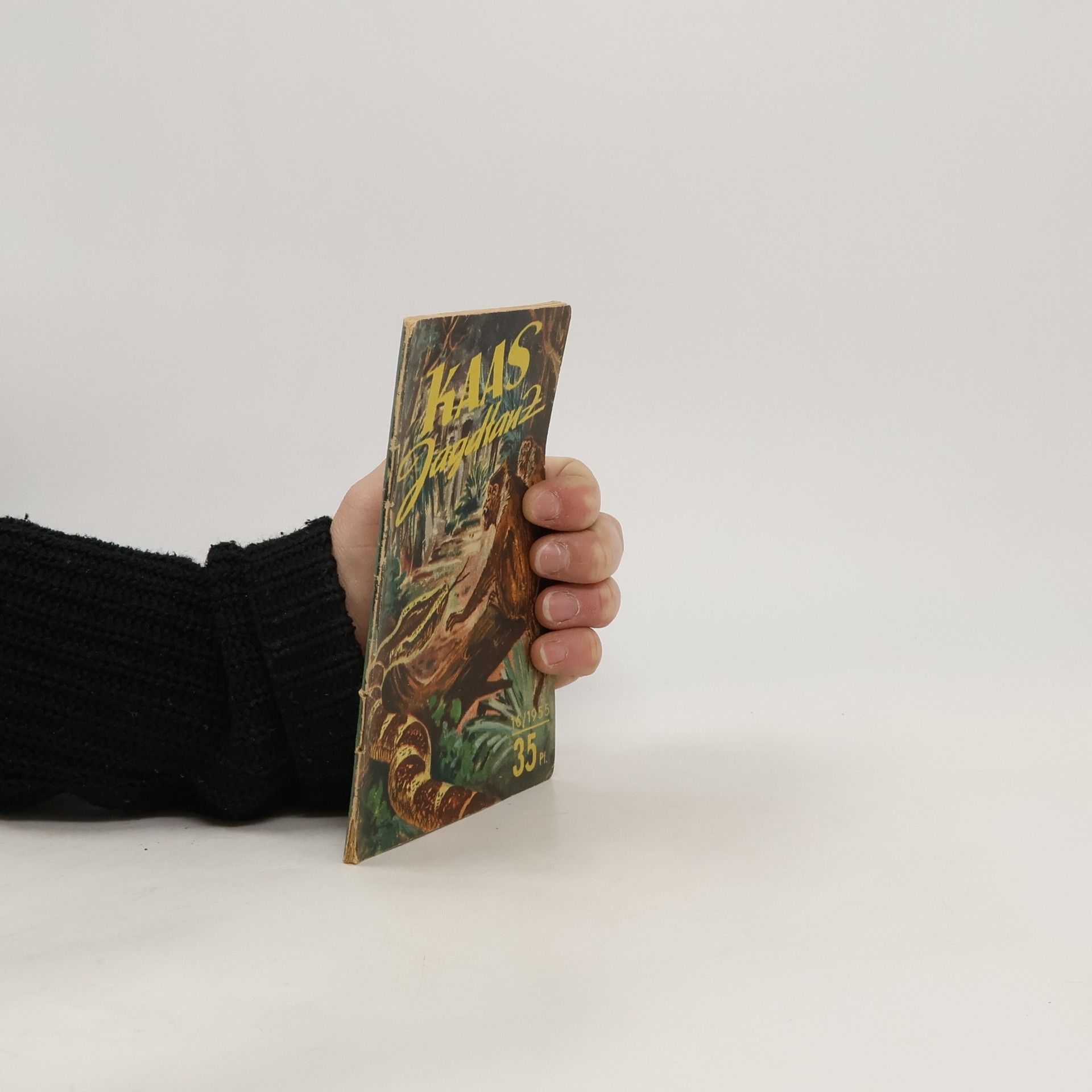 Autorenkollektiv Kaas Jagdtanz