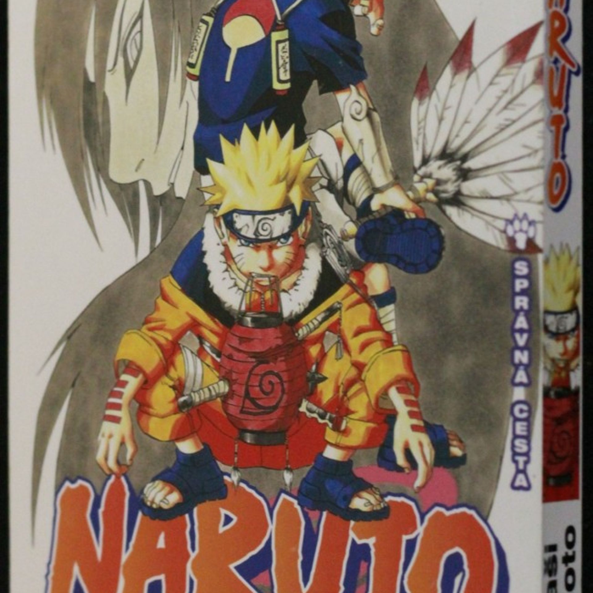 Masashi Kishimoto Naruto. 7. díl, Správná cesta