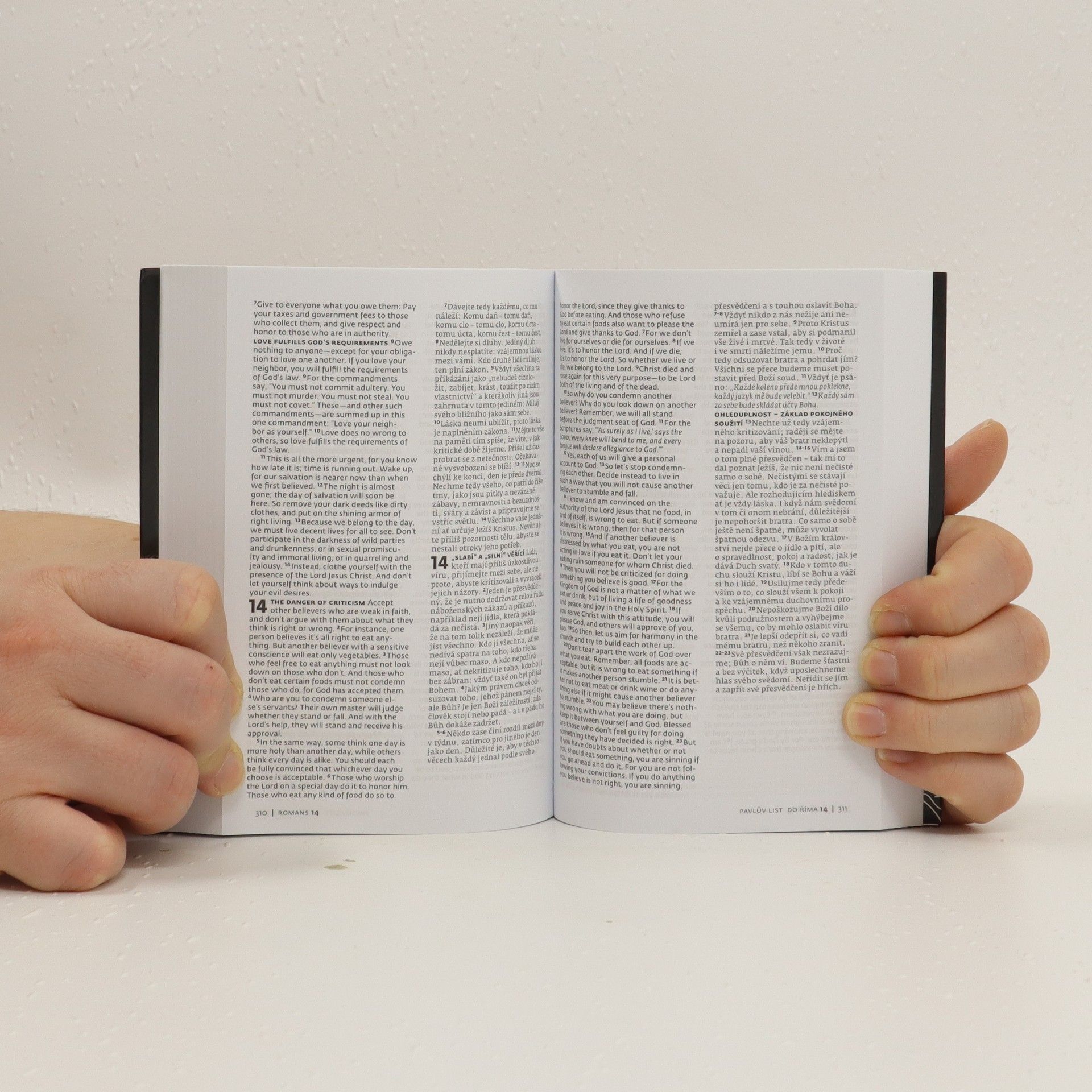 Annie Vallotton Slovo na cestu = New living translation : česko-anglický Nový zákon