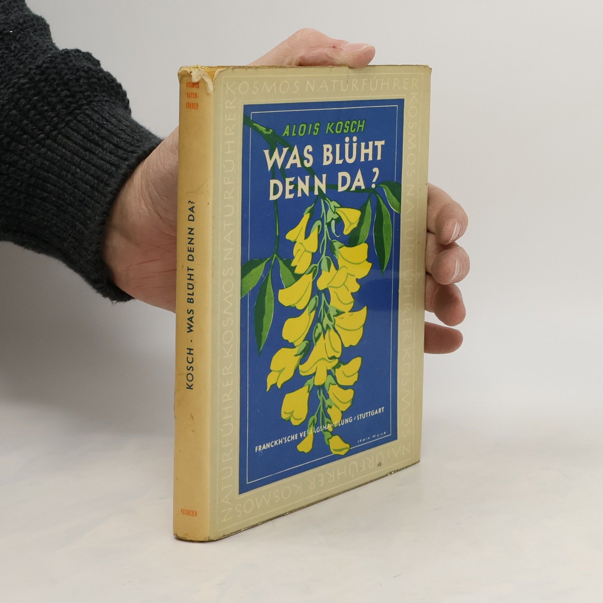 Collectif d'auteurs Was blüht denn da?