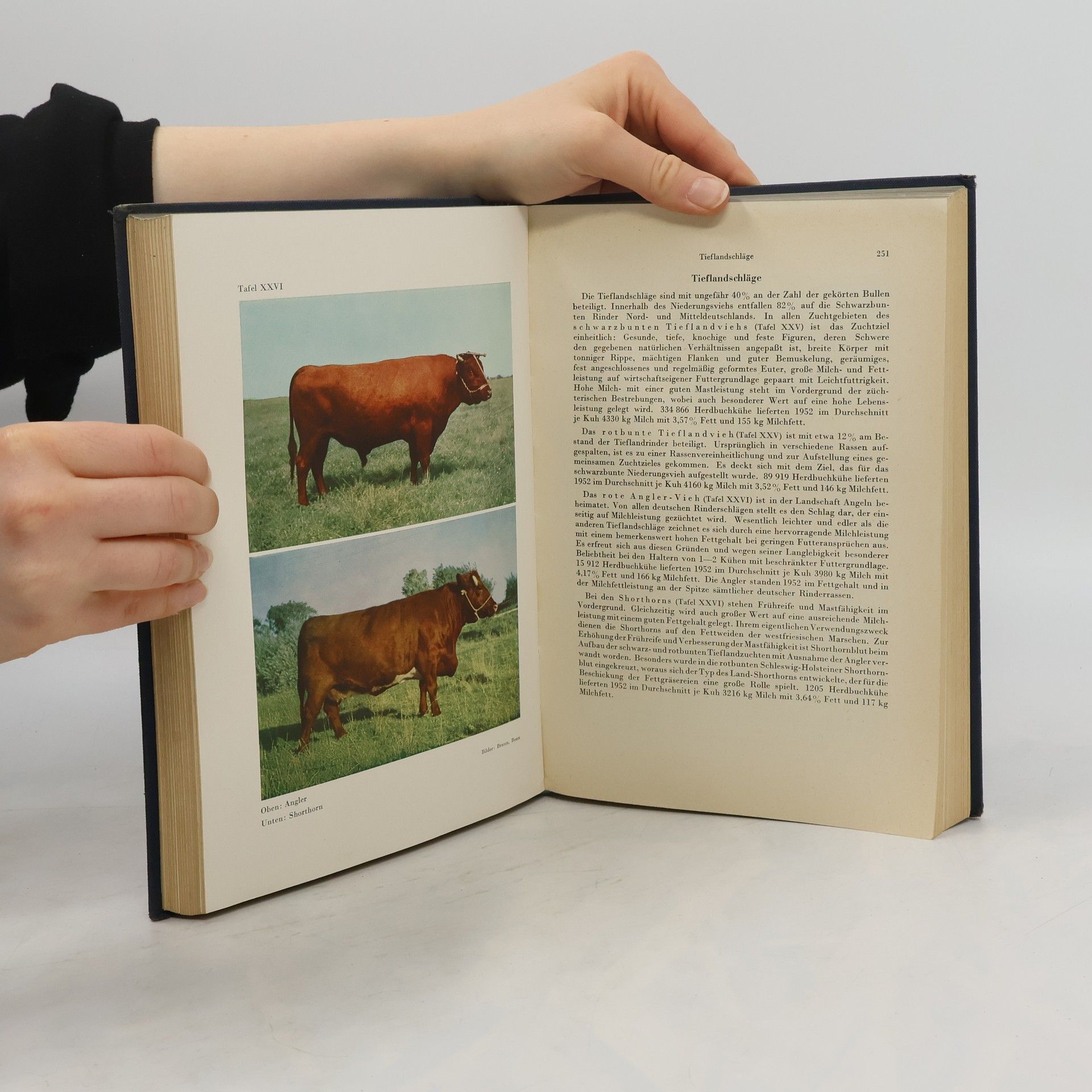kolektiv Das Buch des Bauern