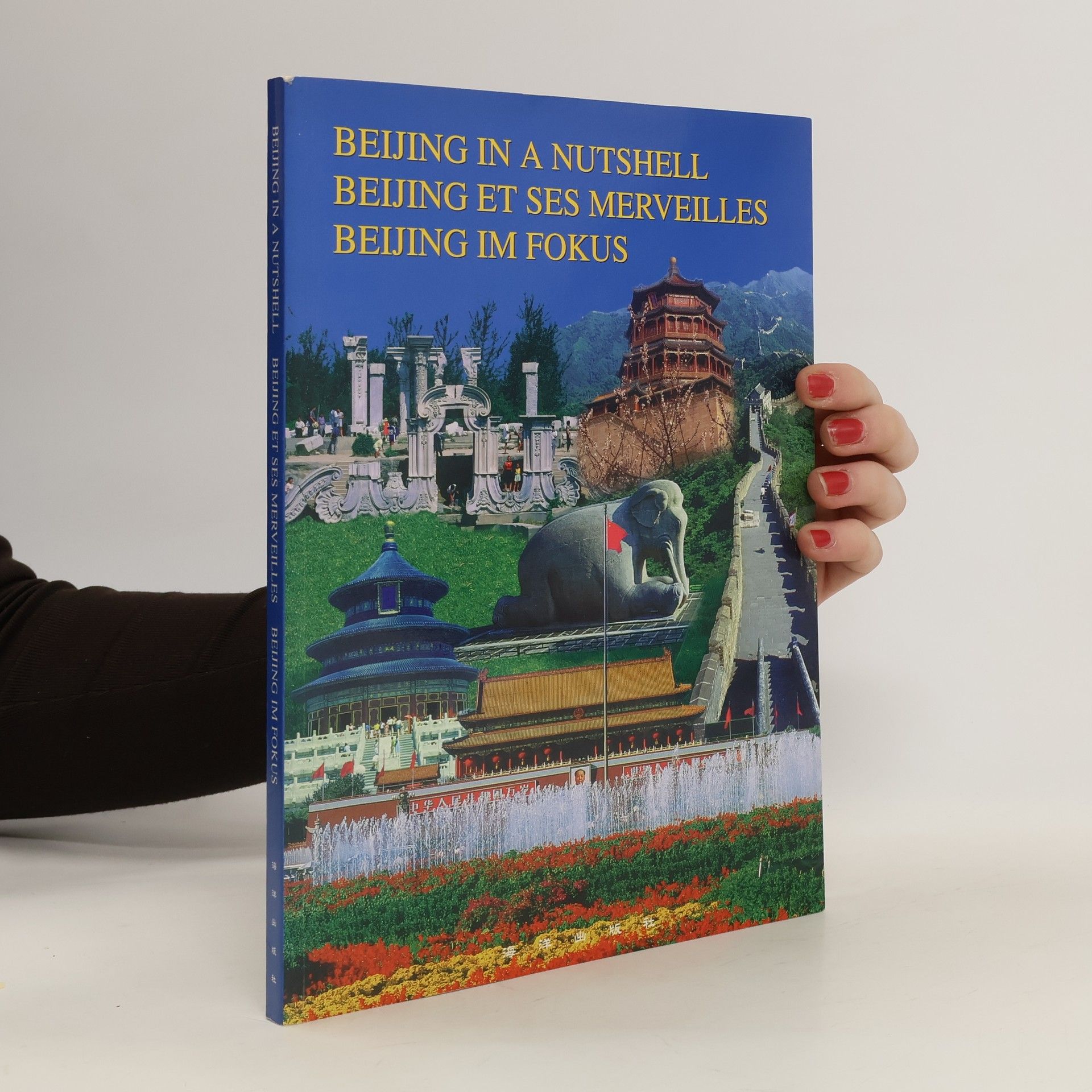 Collectif d'auteurs Beijing in a Nutshell