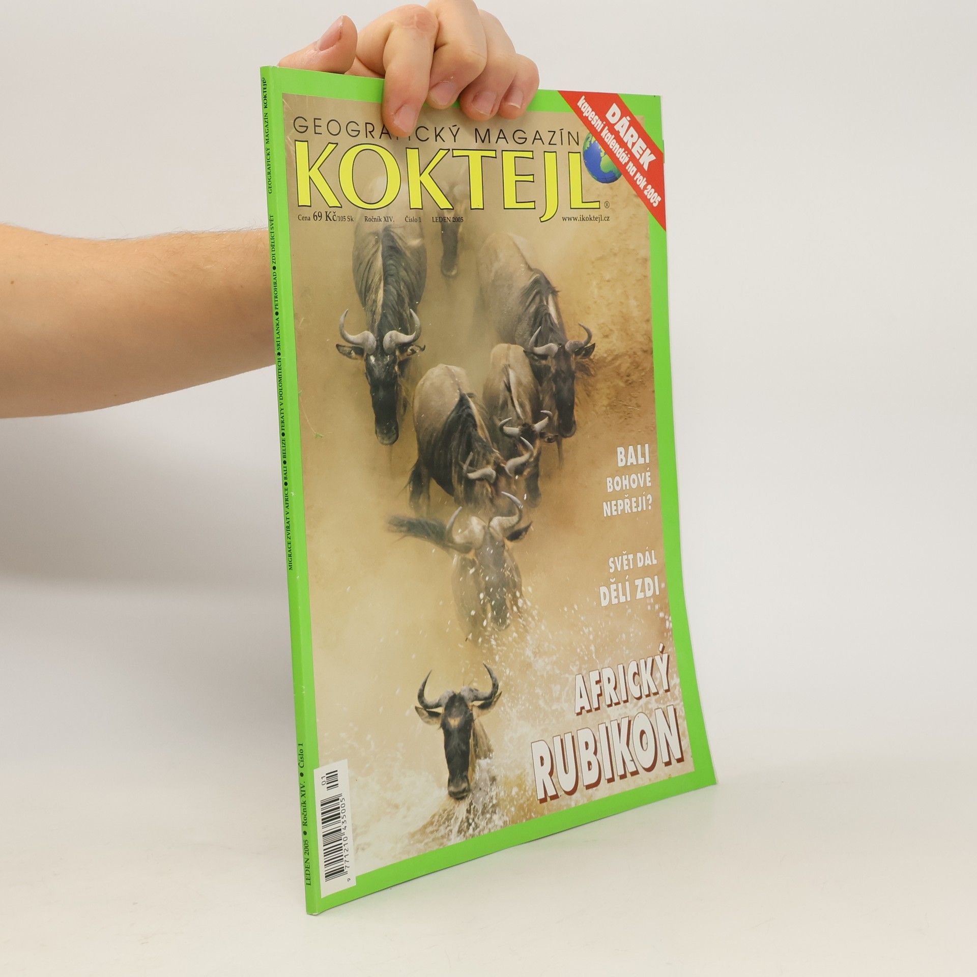 Autorenkollektiv Koktejl 1/2005