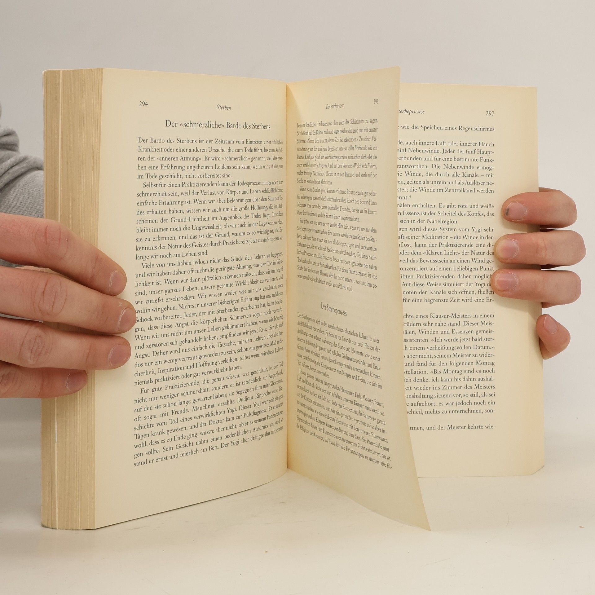 Sogyal Rinpoche Das tibetische Buch vom Leben und vom Sterben