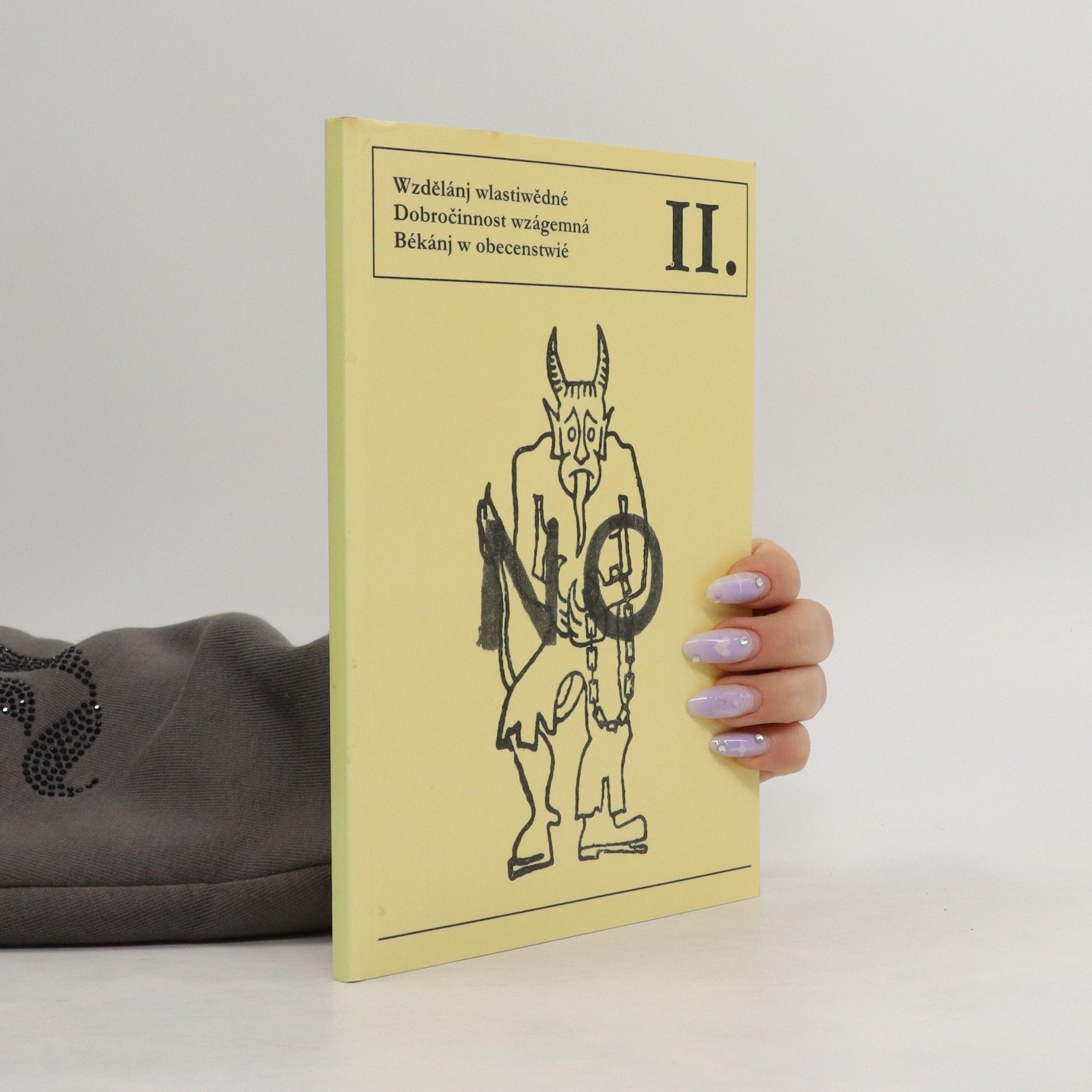 Auteurscollectief Dva roky práce v katakombách a na vinici