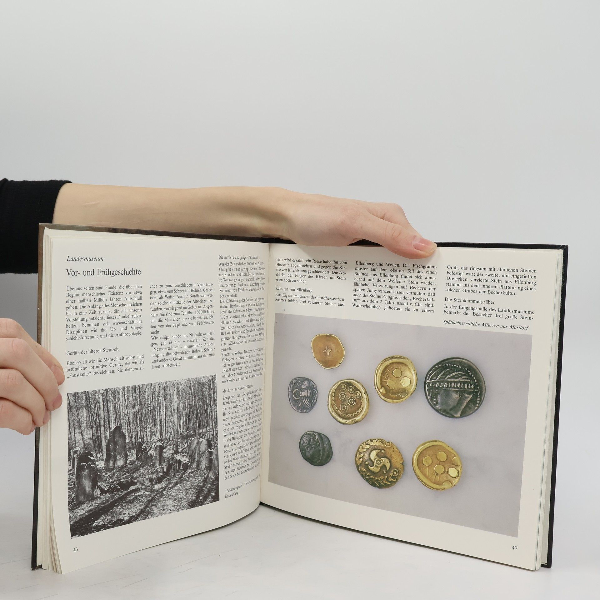 Jürgen M. Lehrmann Kasseler Museen