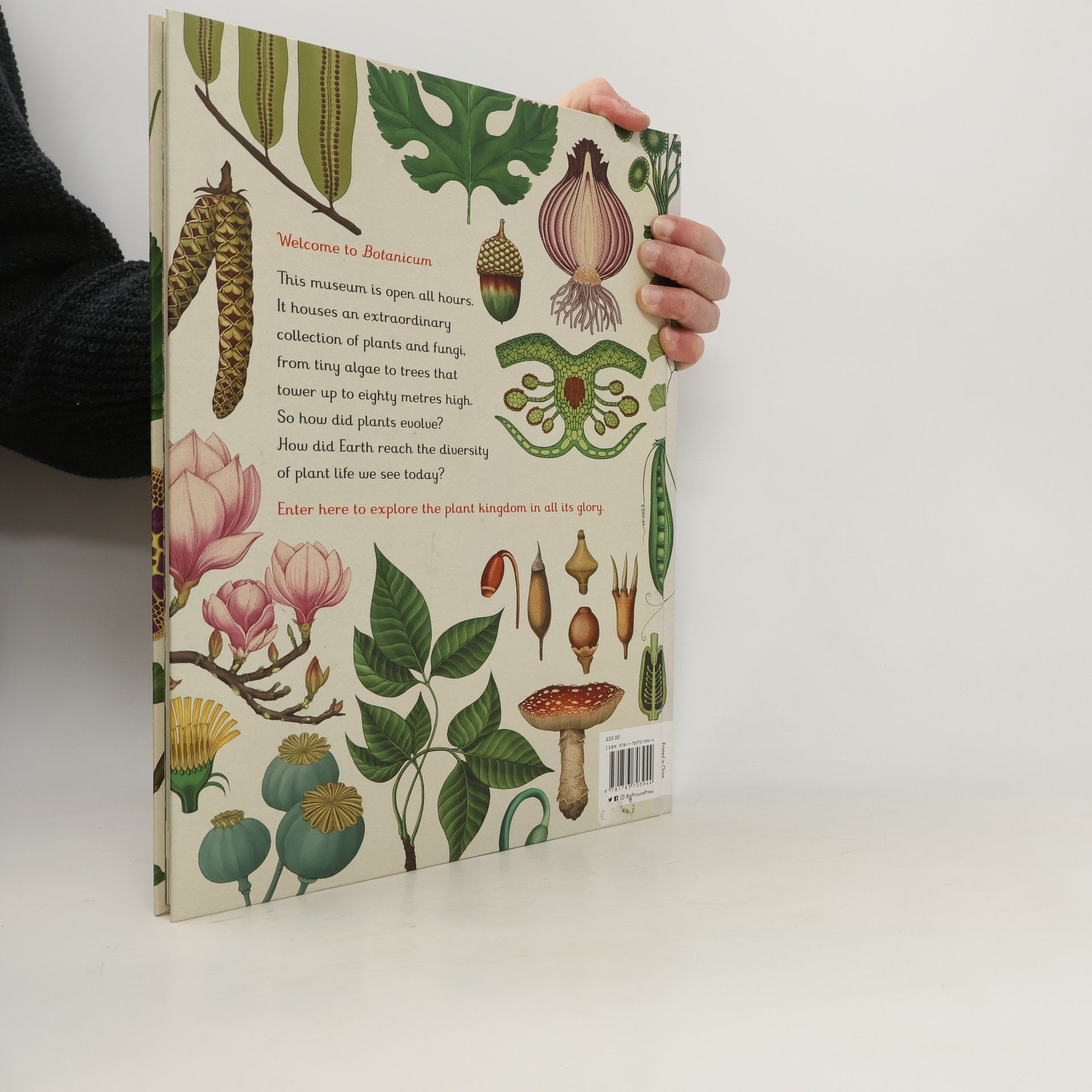 Katie Scott Botanicum
