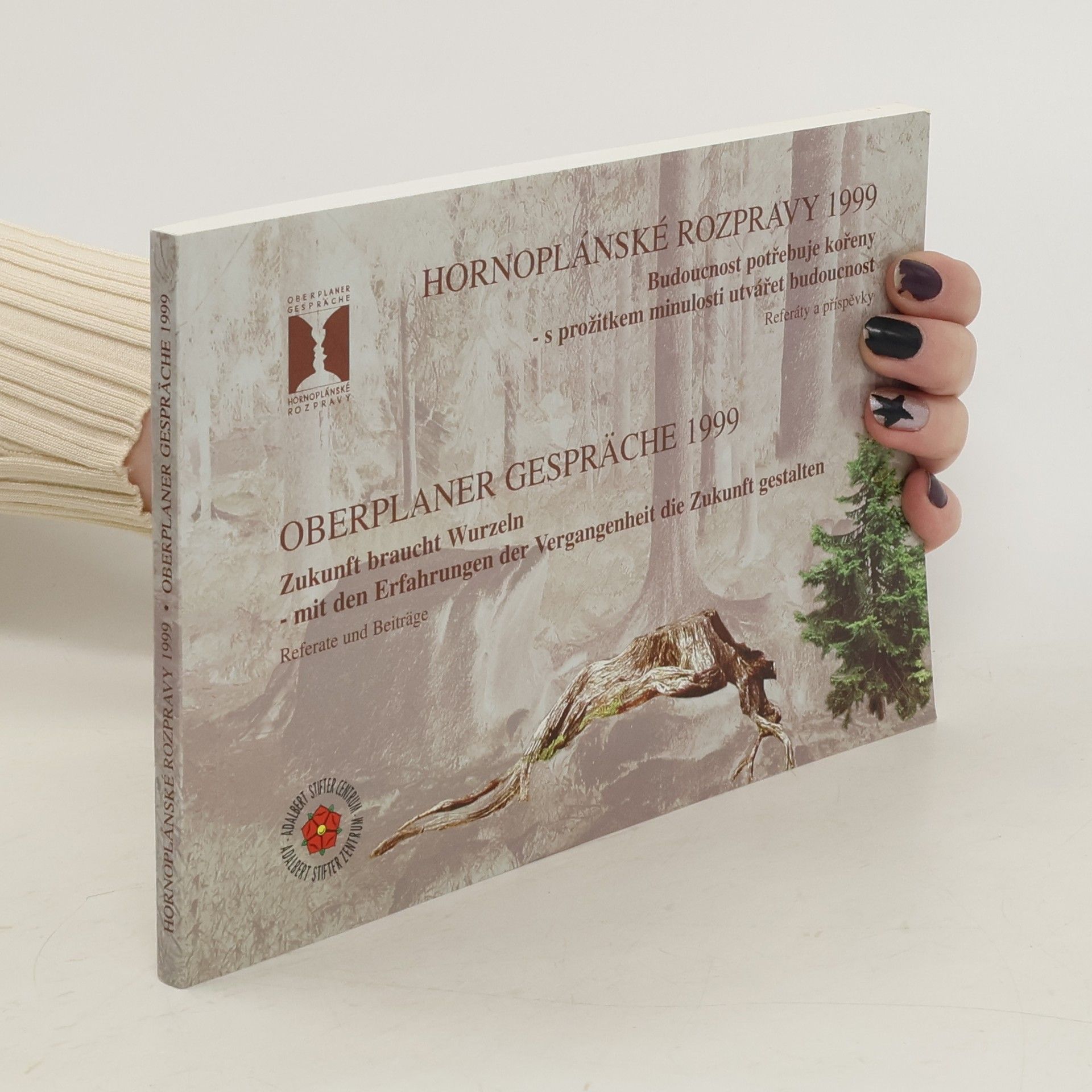 Kolektív autorov Hornoplánské rozpravy 1999 = Oberplaner Gespräche 1999