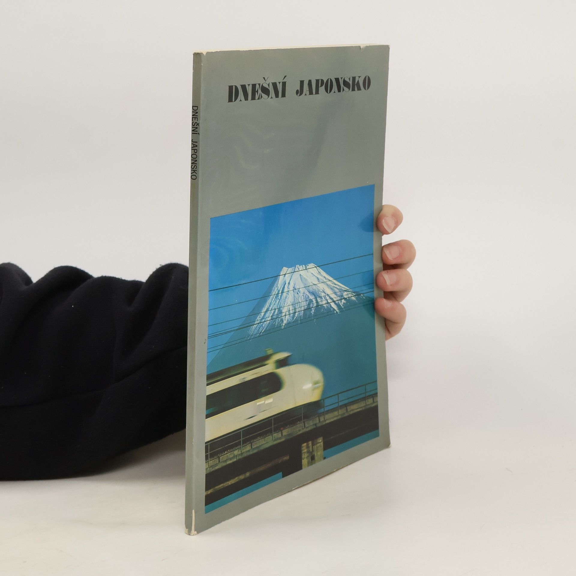 Autorenkollektiv Dnešní Japonsko