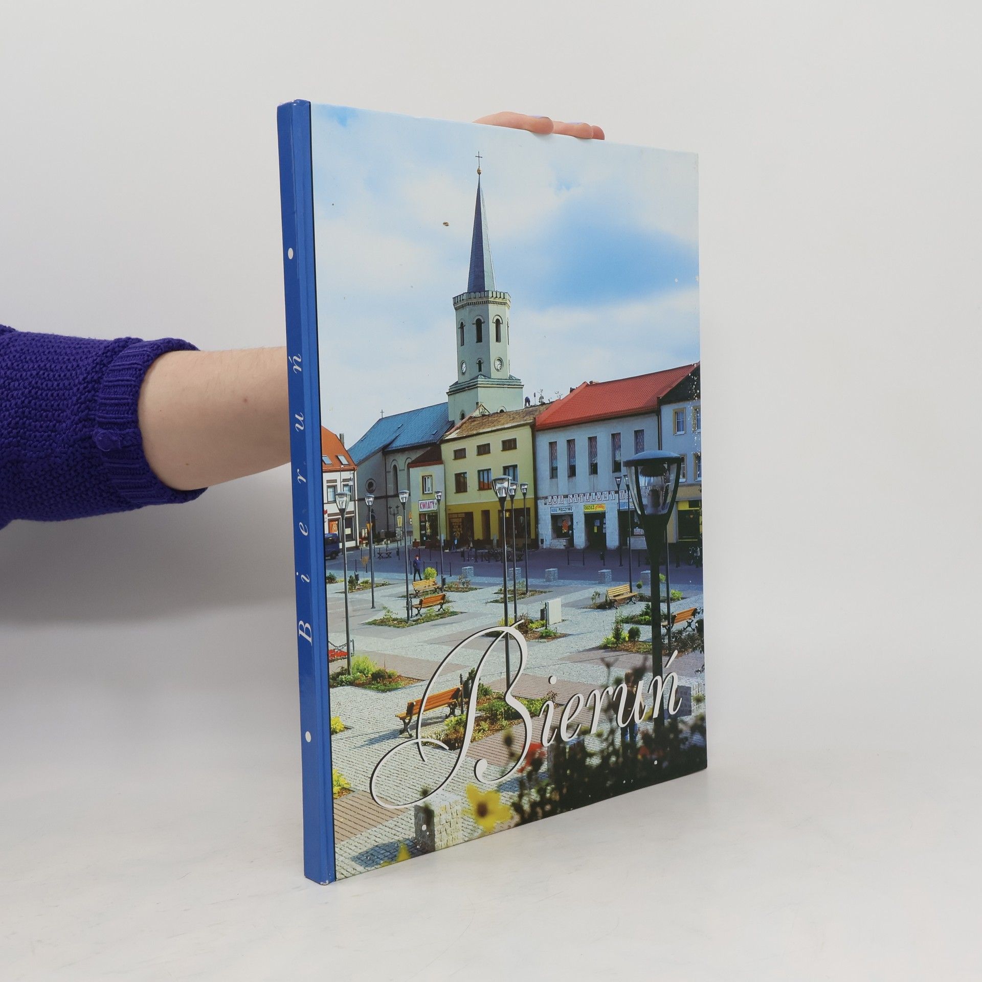 Ludwik Musioł Bieruń