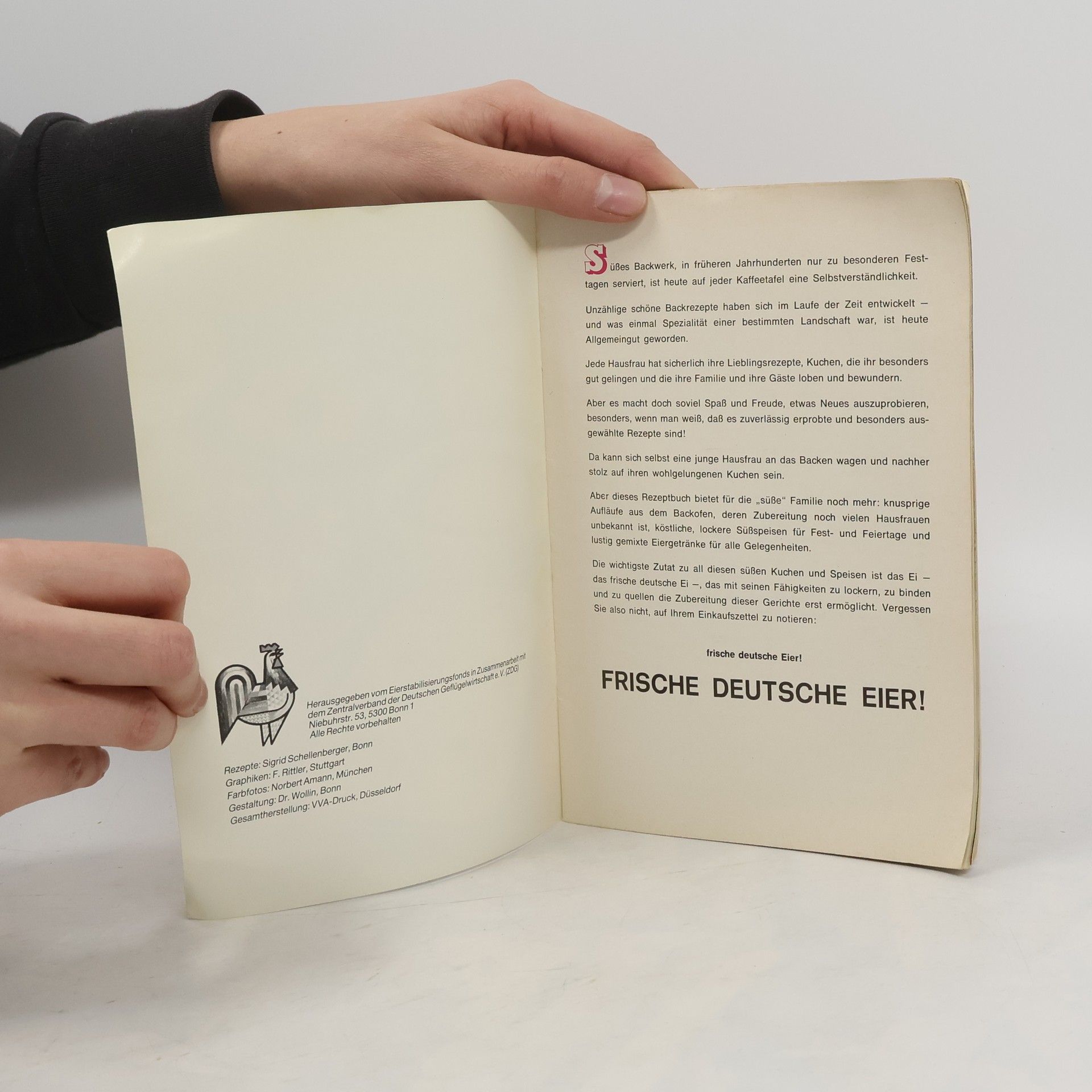Autorenkollektiv Eierbackbuch