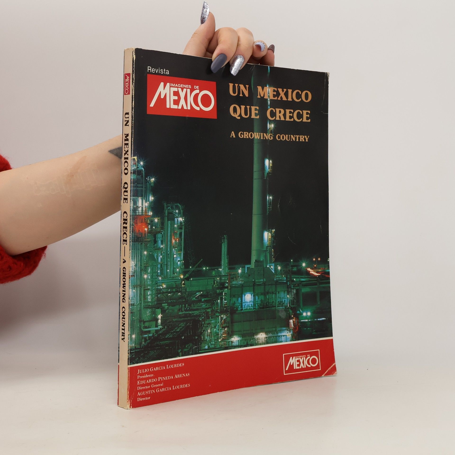 Collectif d'auteurs Un Mexico que Crece