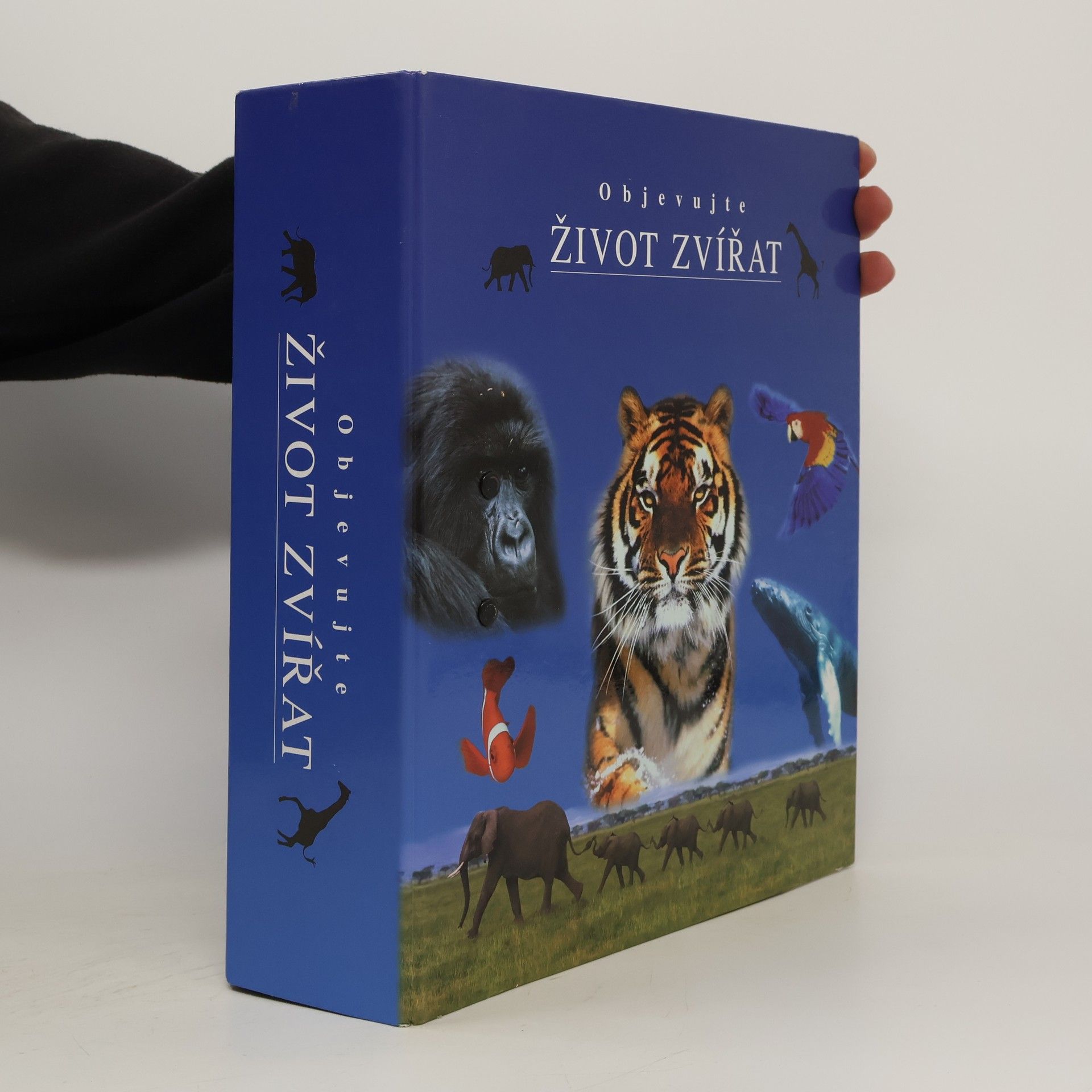 Various authors Objevujte život zvířat. Skupina 6-10