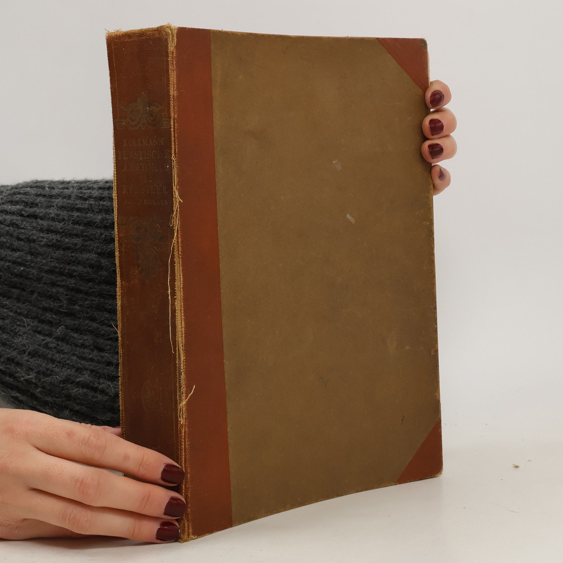 Julius Kollmann  Plastische Anatomie des menschlichen Körpers