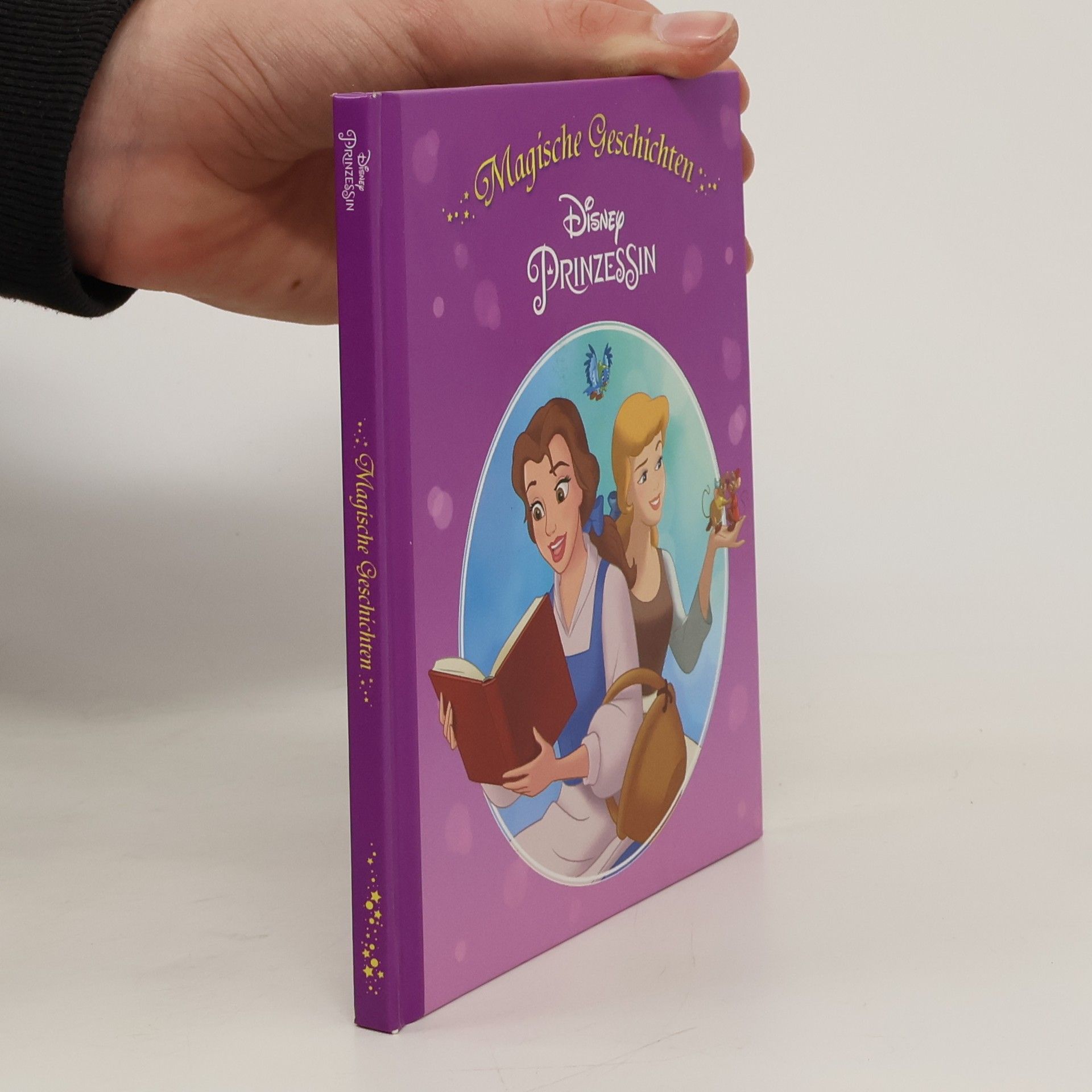 kolektiv Magische Geschichten. Disney Prinzessin