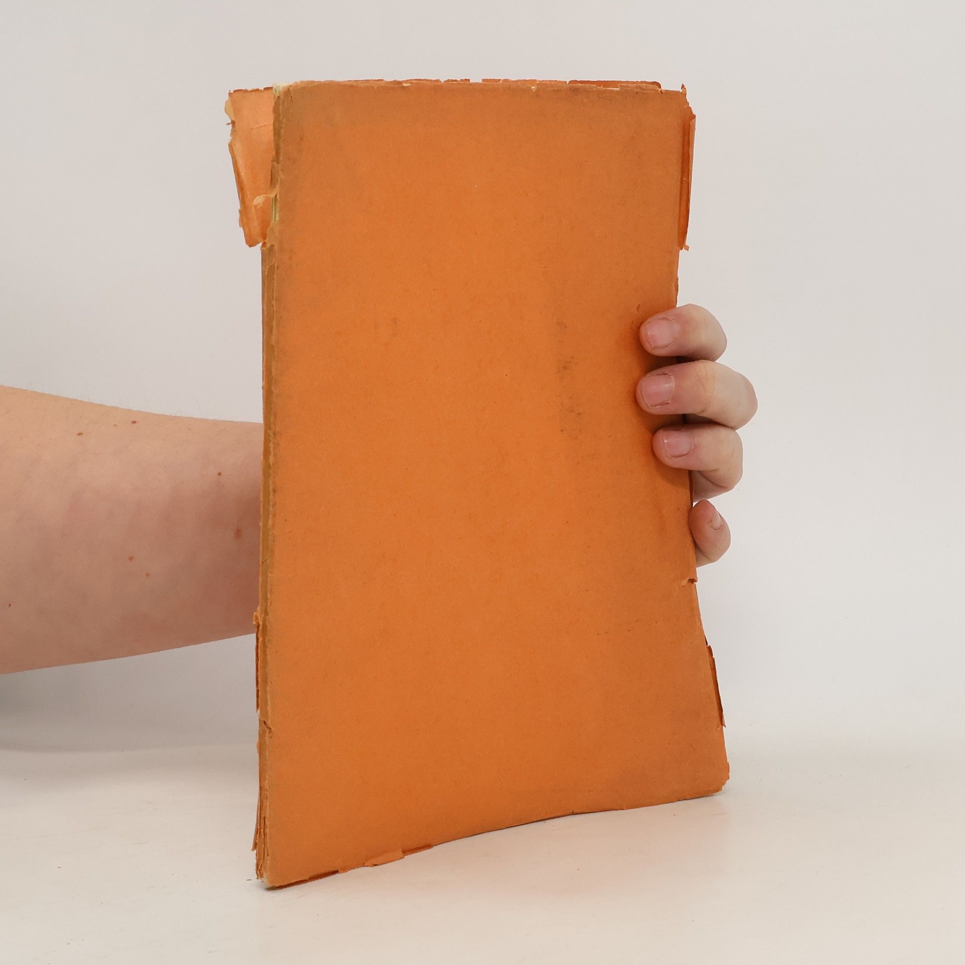 Umělecká litografie